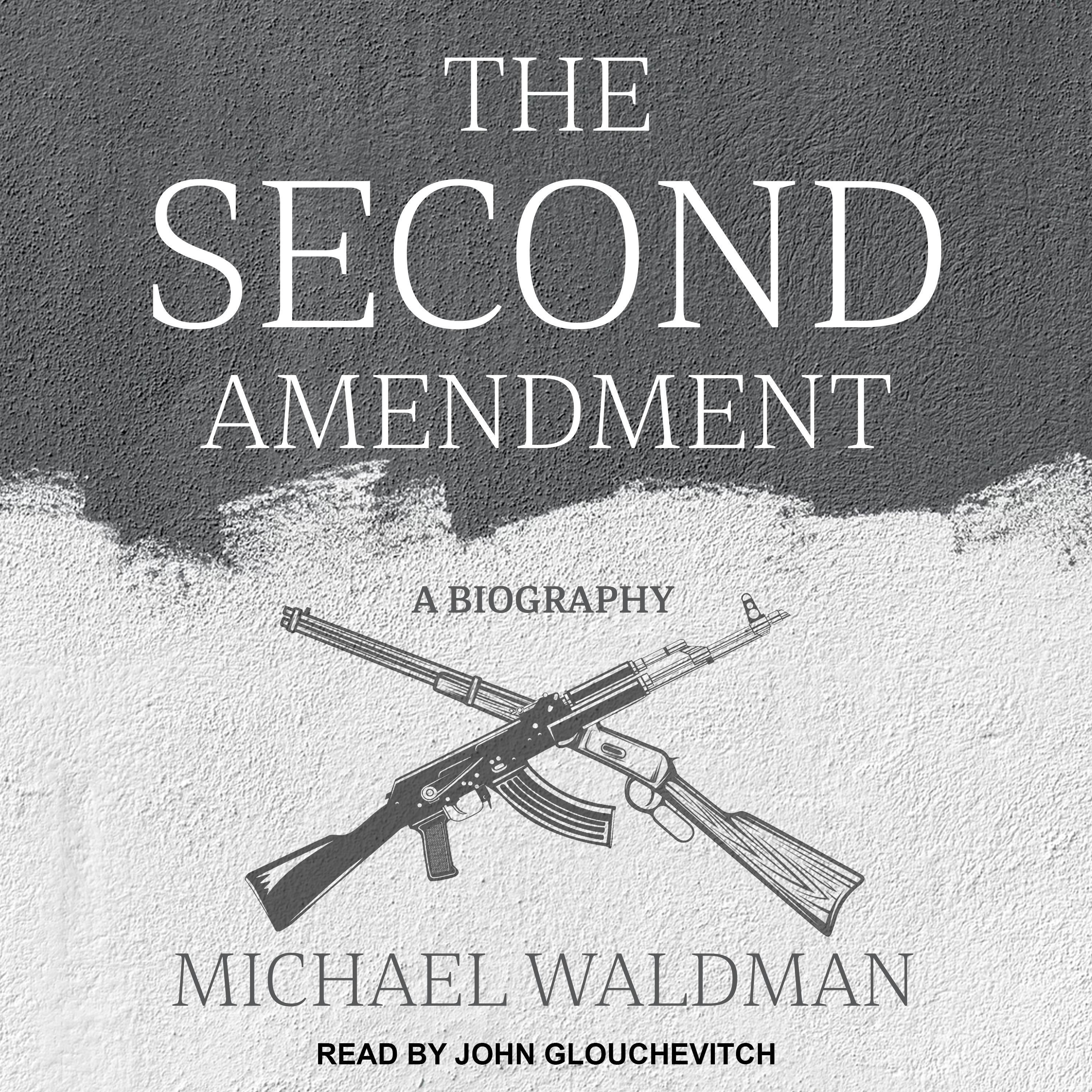 The Second Amendment