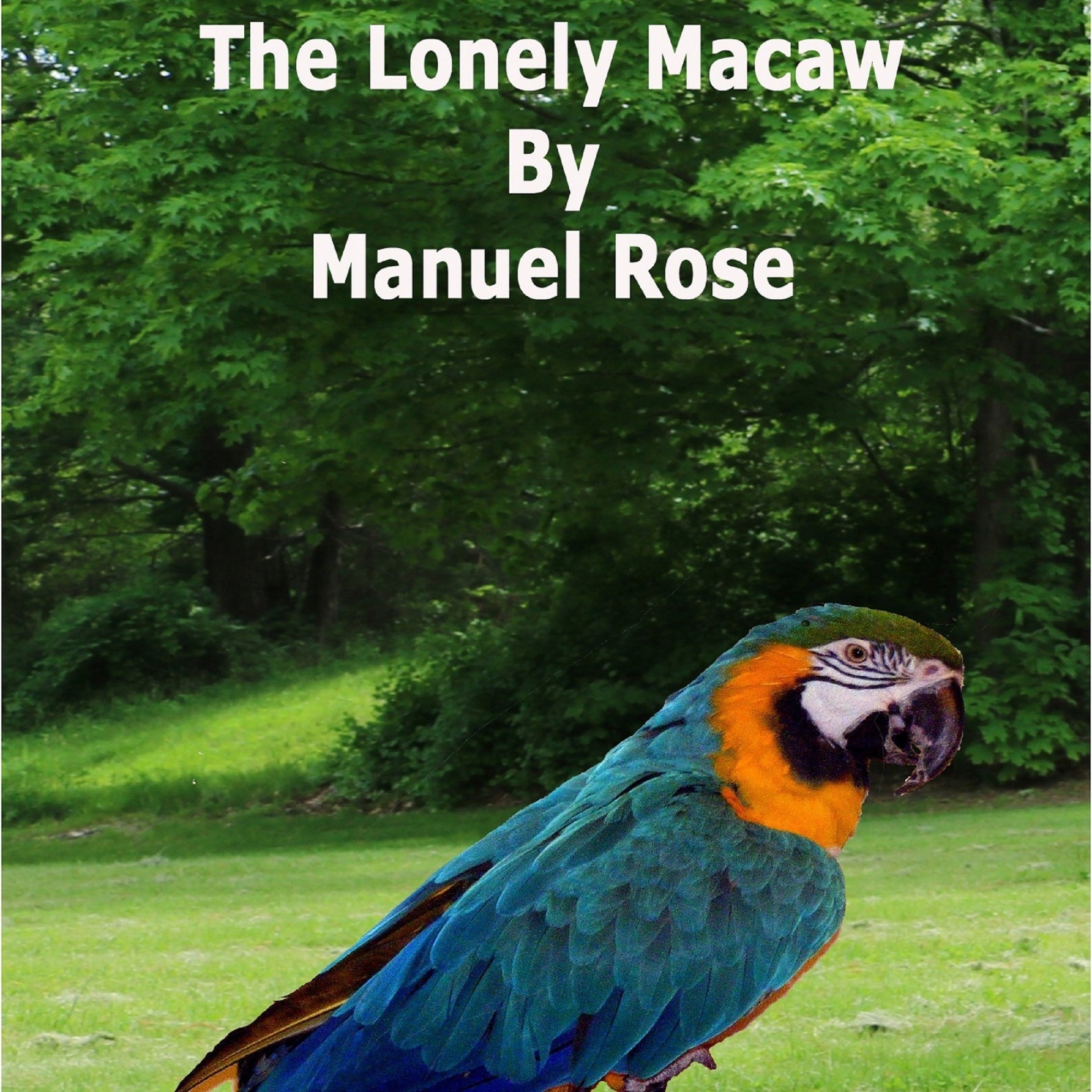 The Lonely Macaw