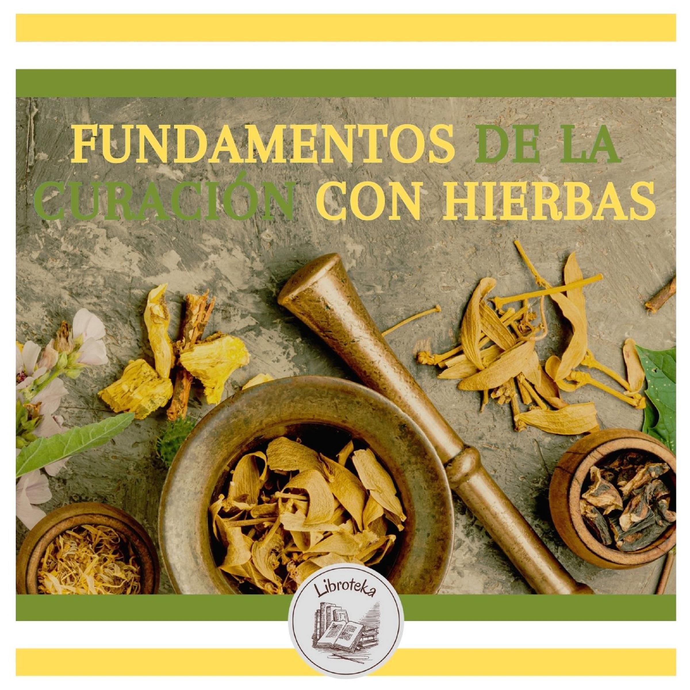 Fundamentos De La Curación Con Hierbas