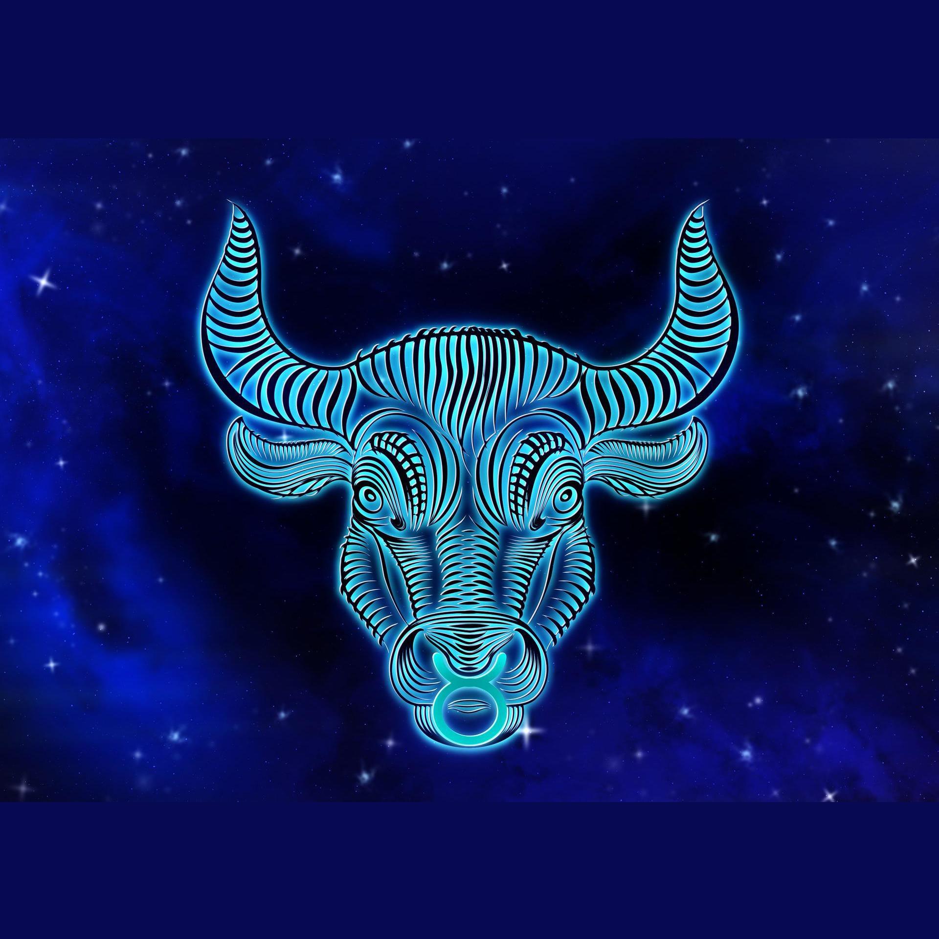 The Pig Bull Online Show. Bang Bang.