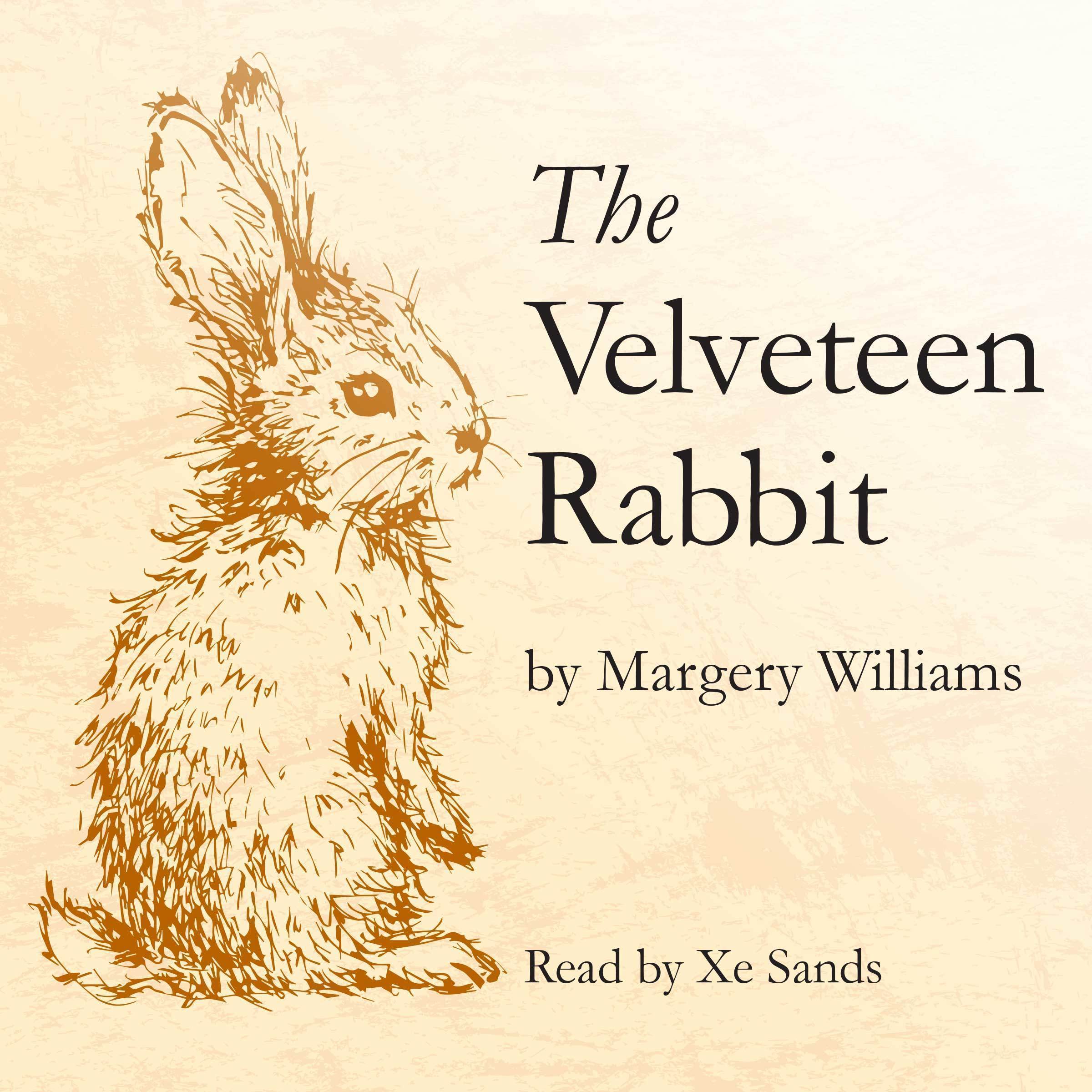 The Velveteen Rabbit