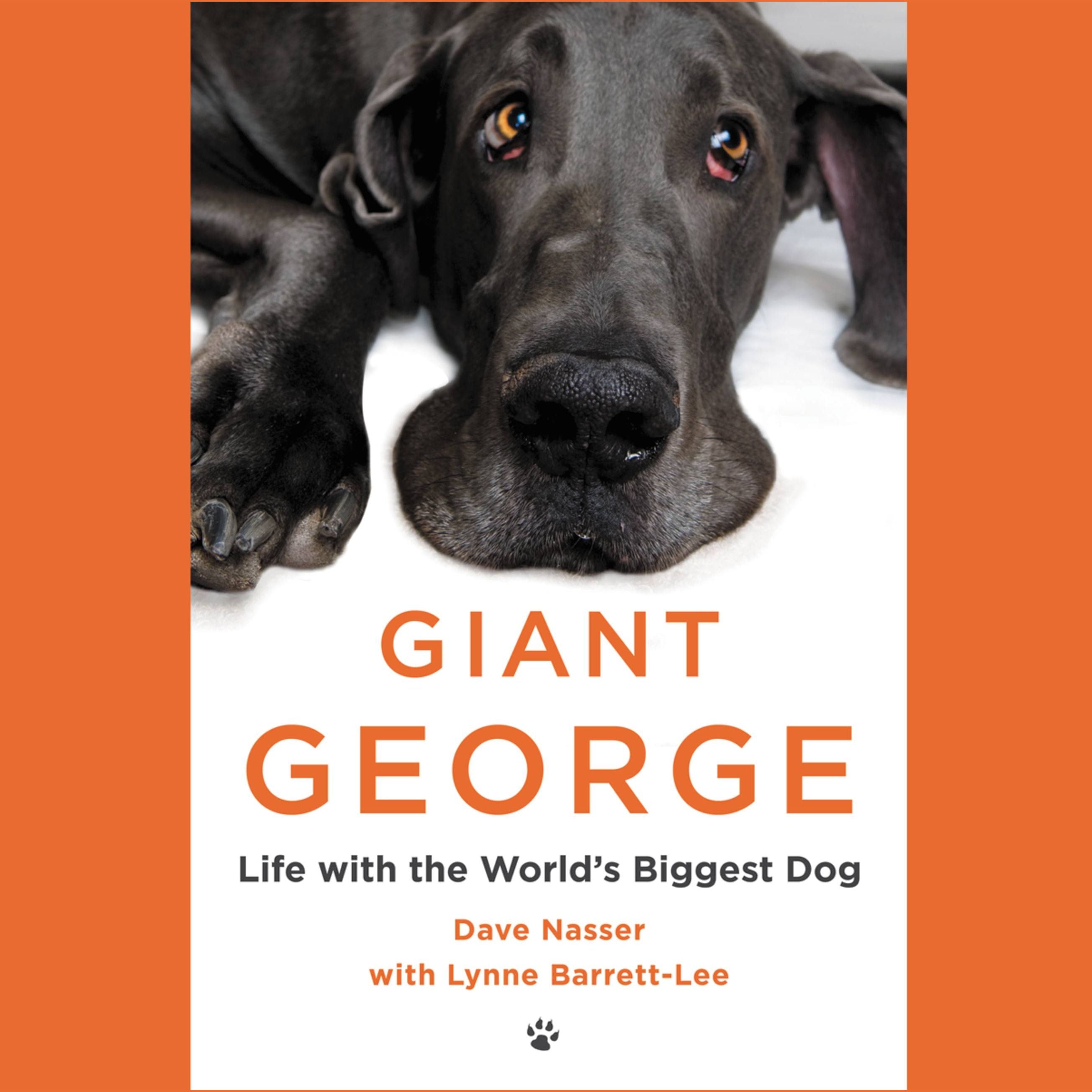 Giant George