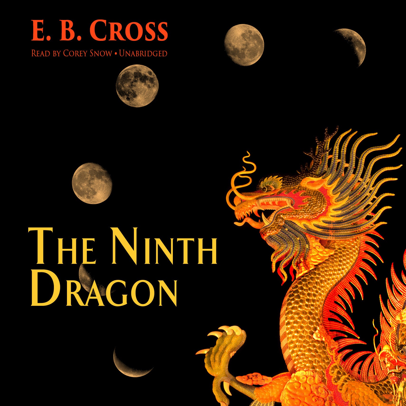 The Ninth Dragon