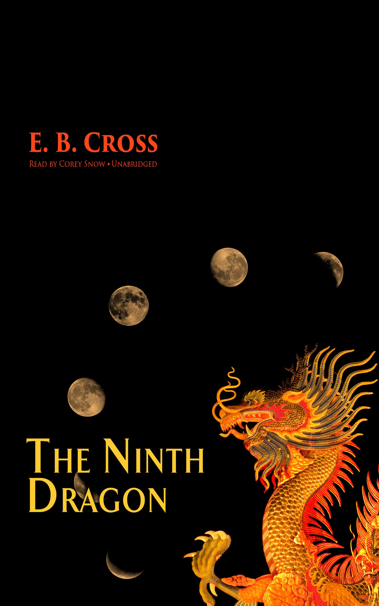 The Ninth Dragon