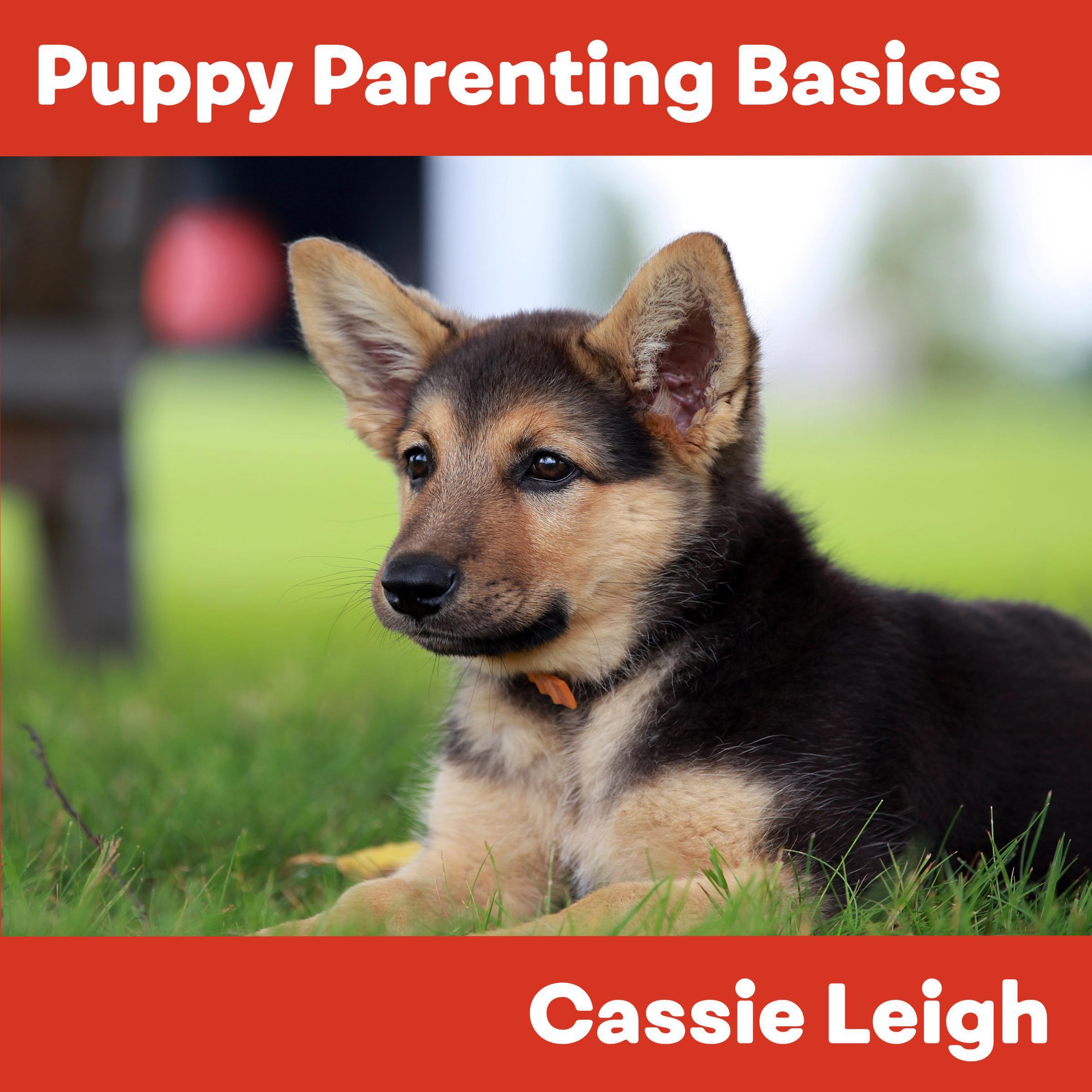 Puppy Parenting Basics