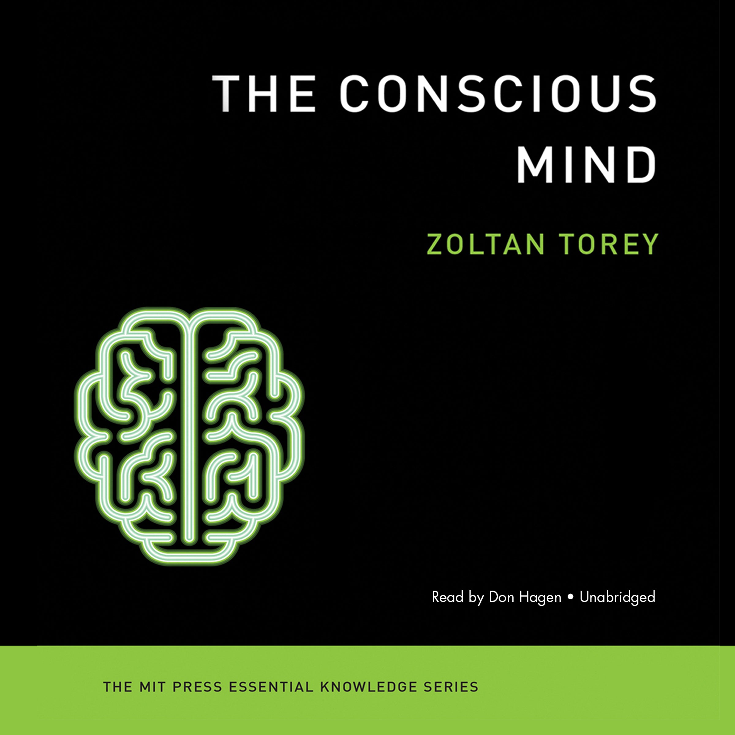 The Conscious Mind