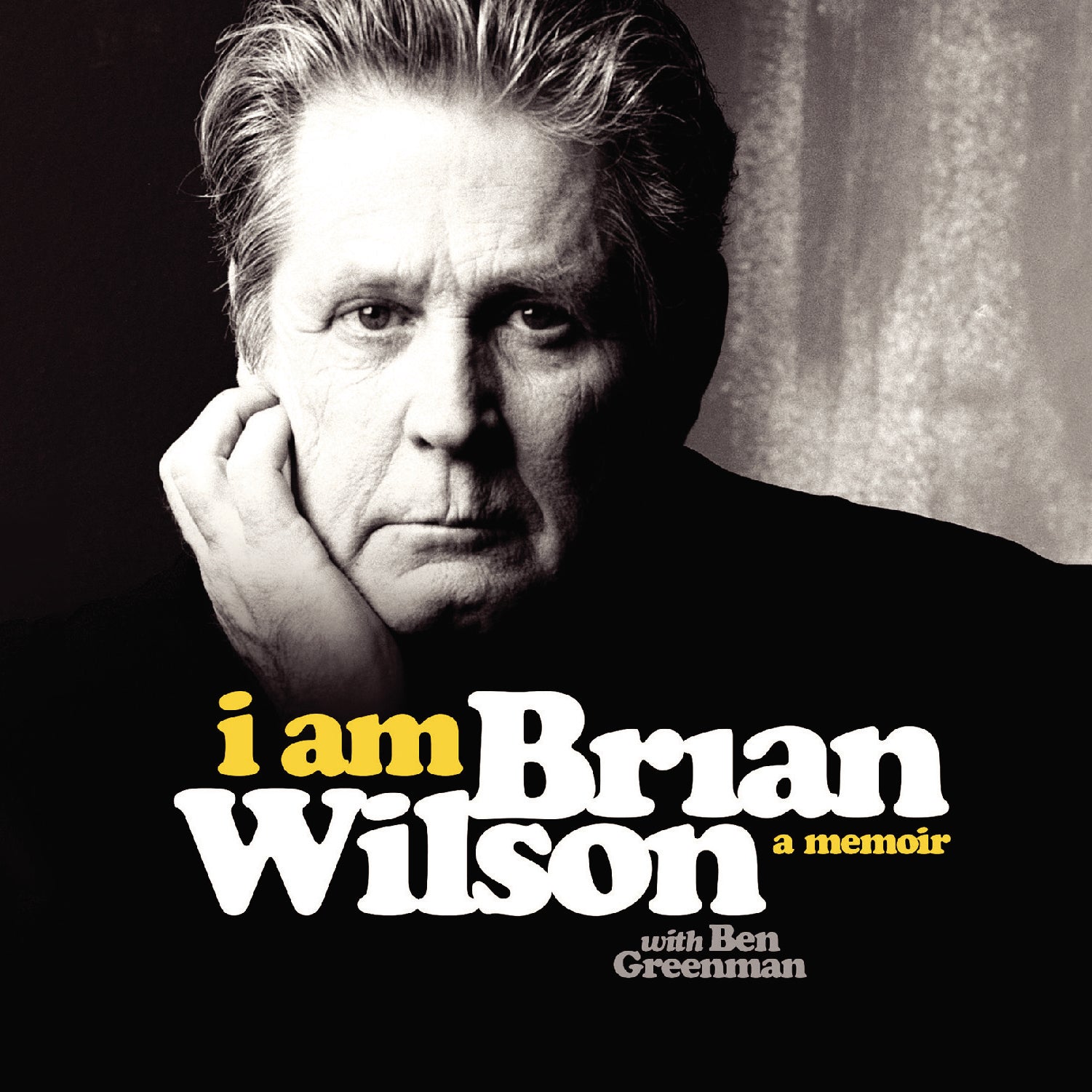 I Am Brian Wilson