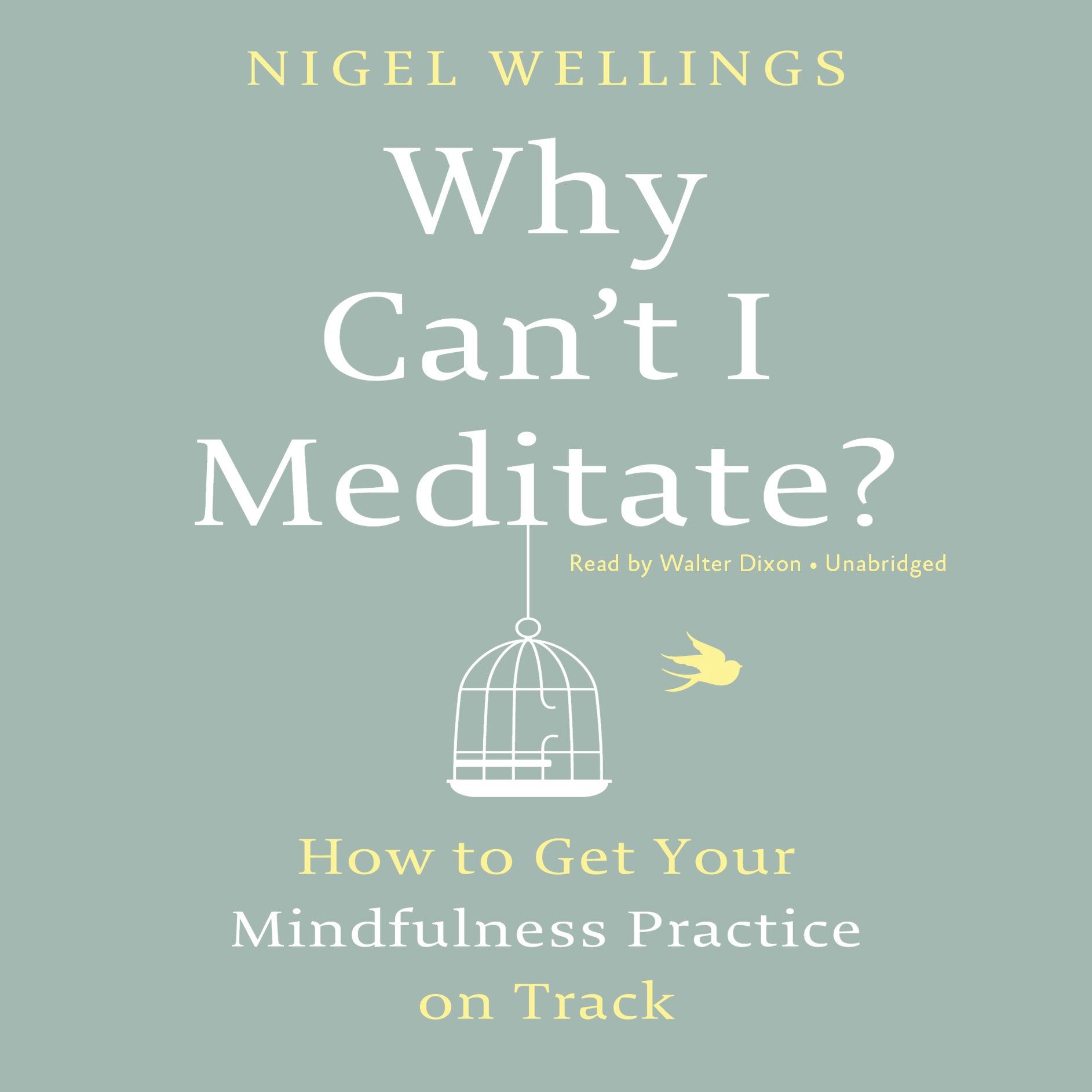 Why Can't I Meditate?