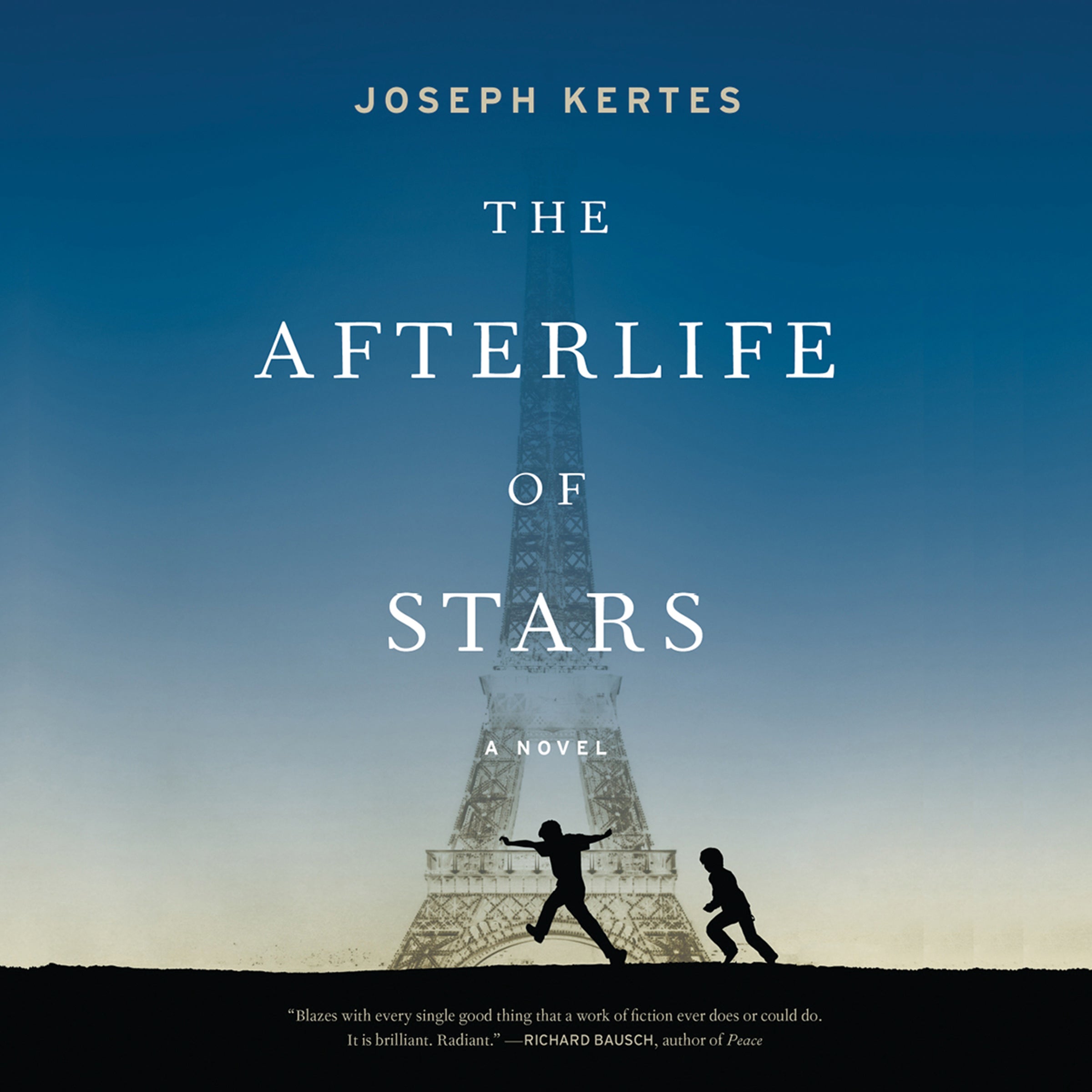 The Afterlife of Stars