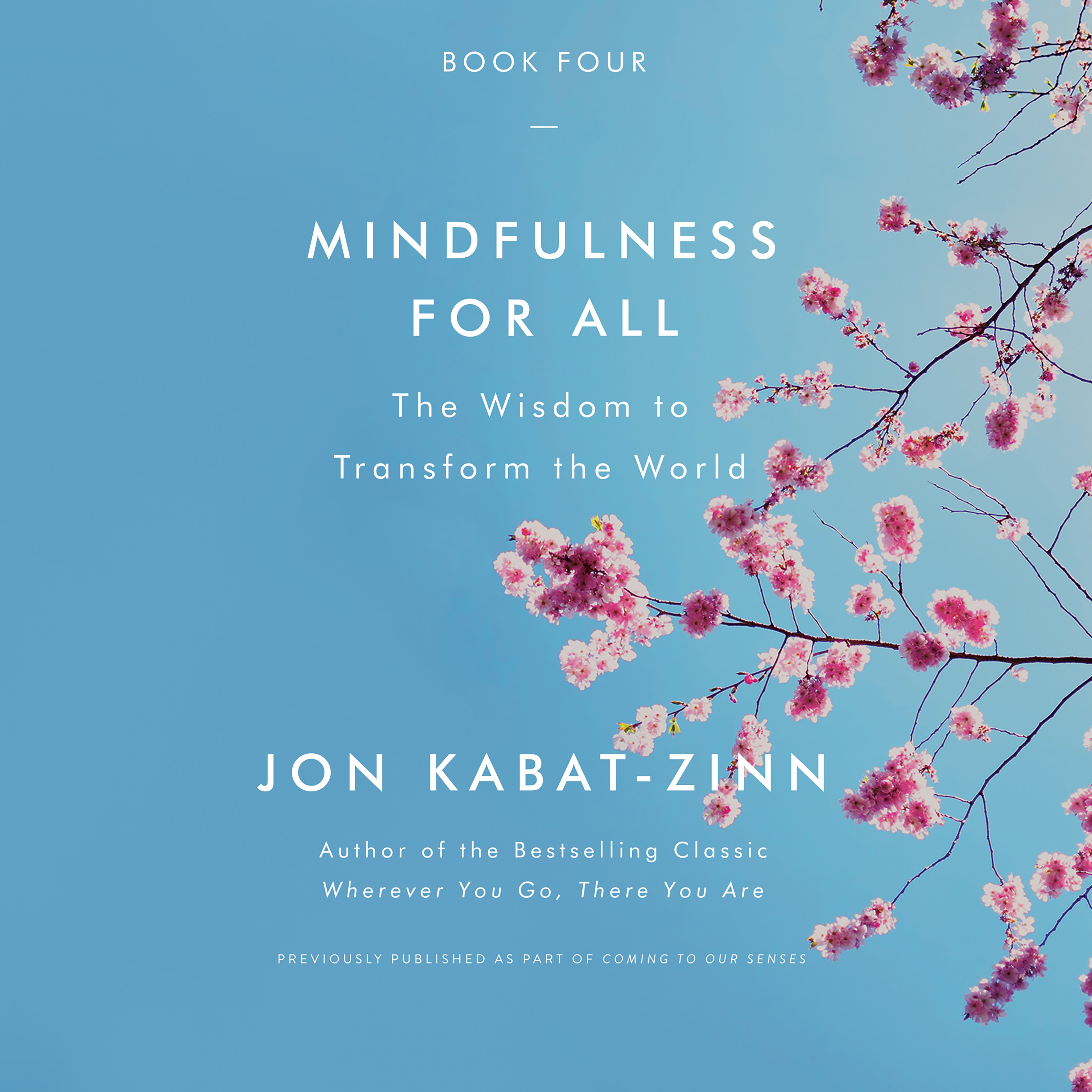Mindfulness for All