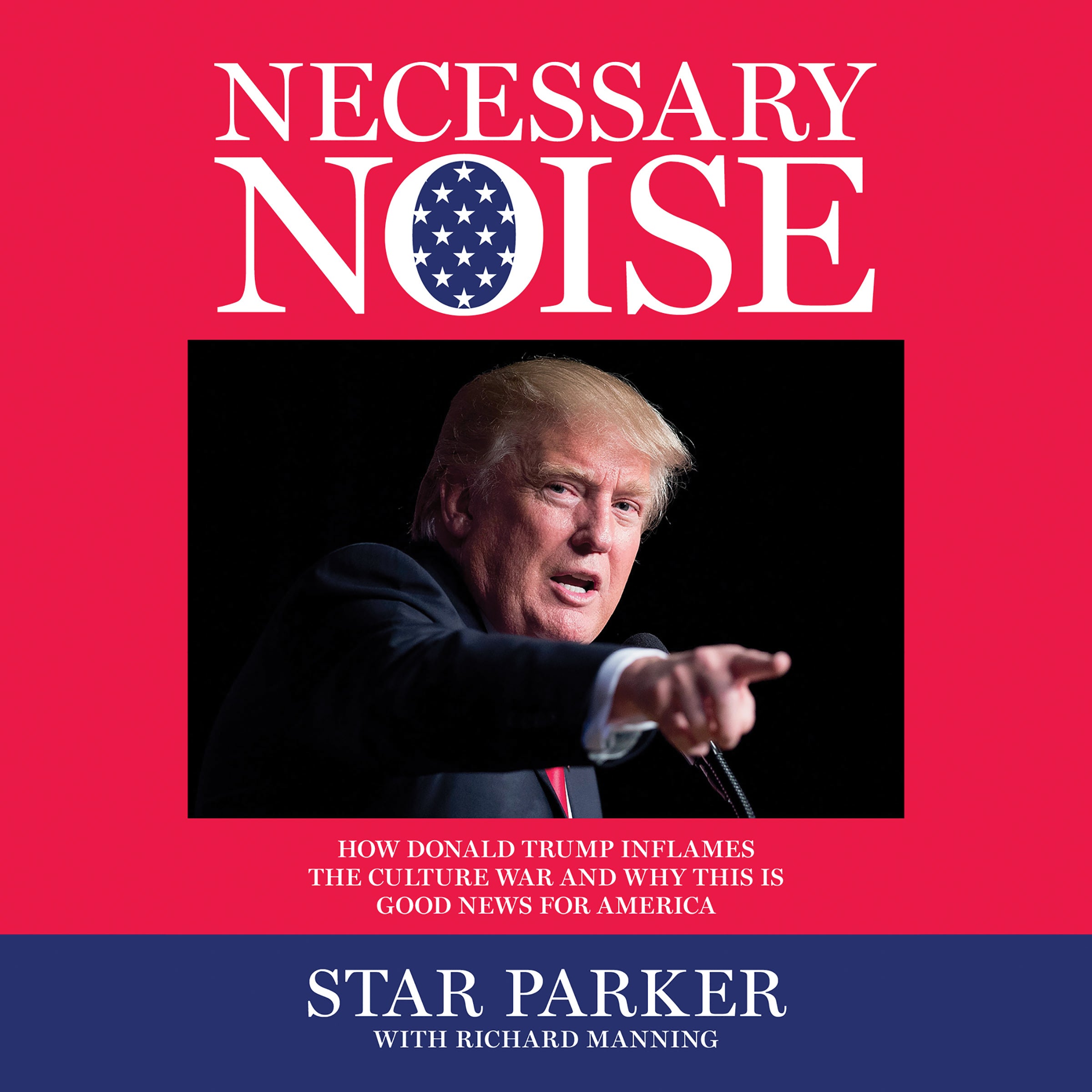 Necessary Noise