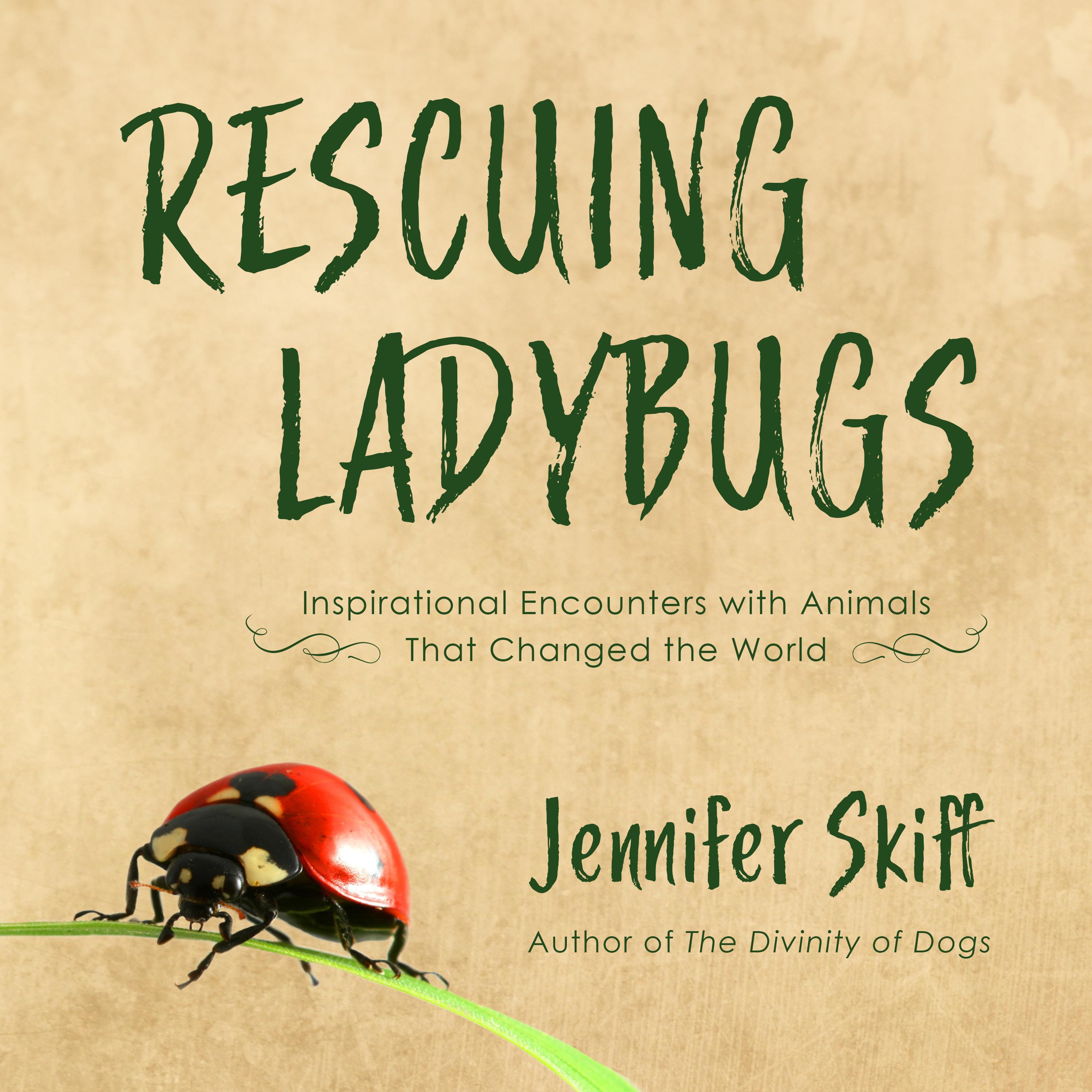 Rescuing Ladybugs