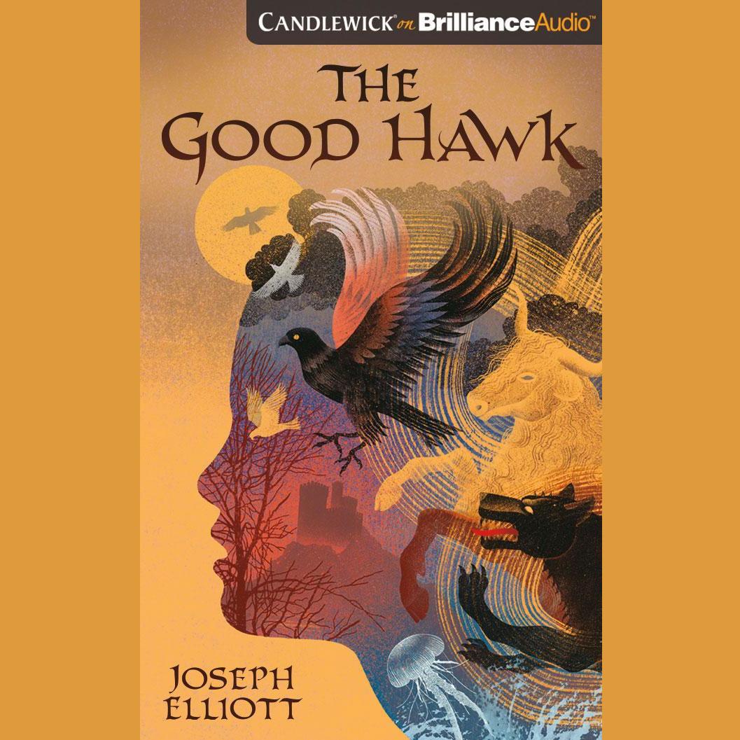 The Good Hawk