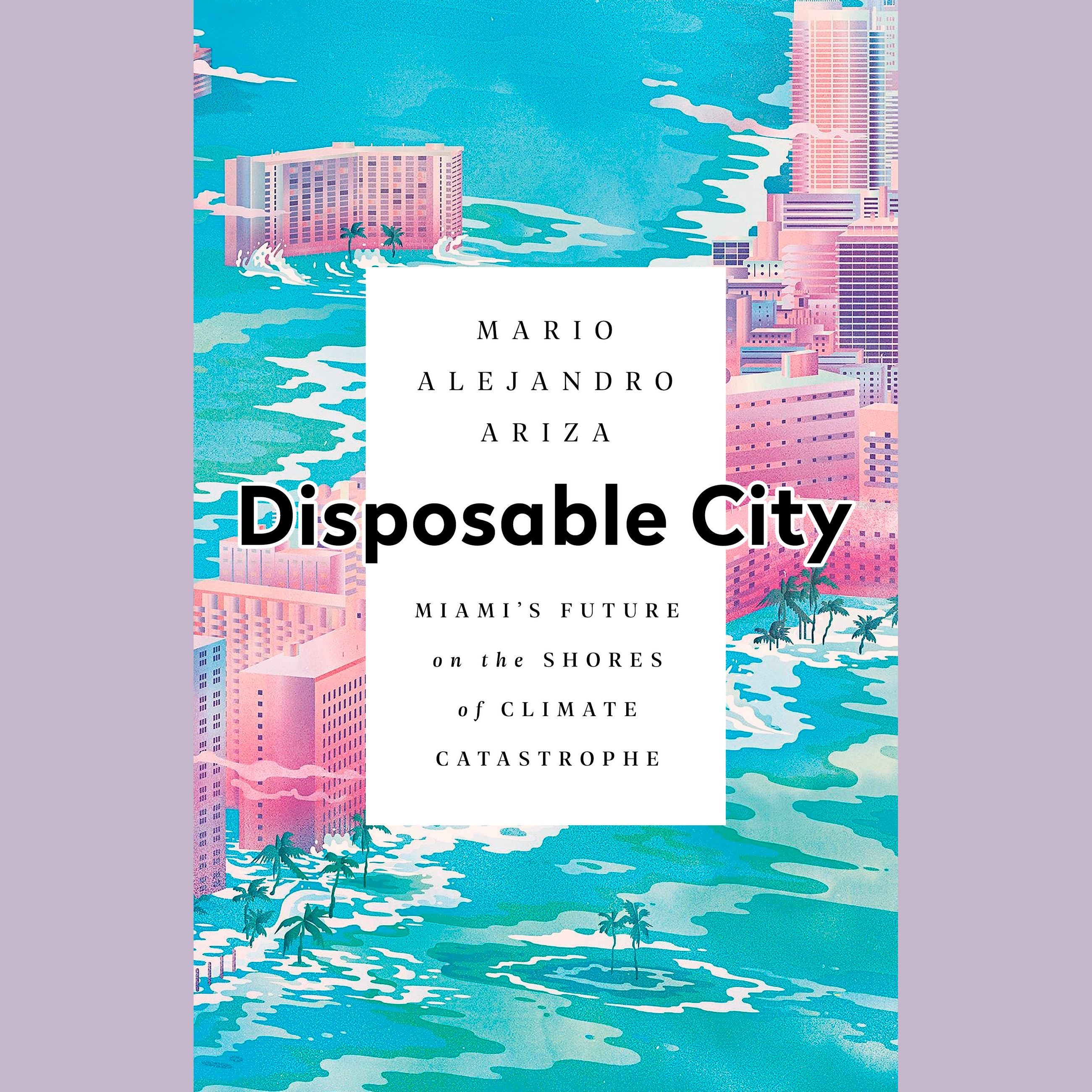 Disposable City