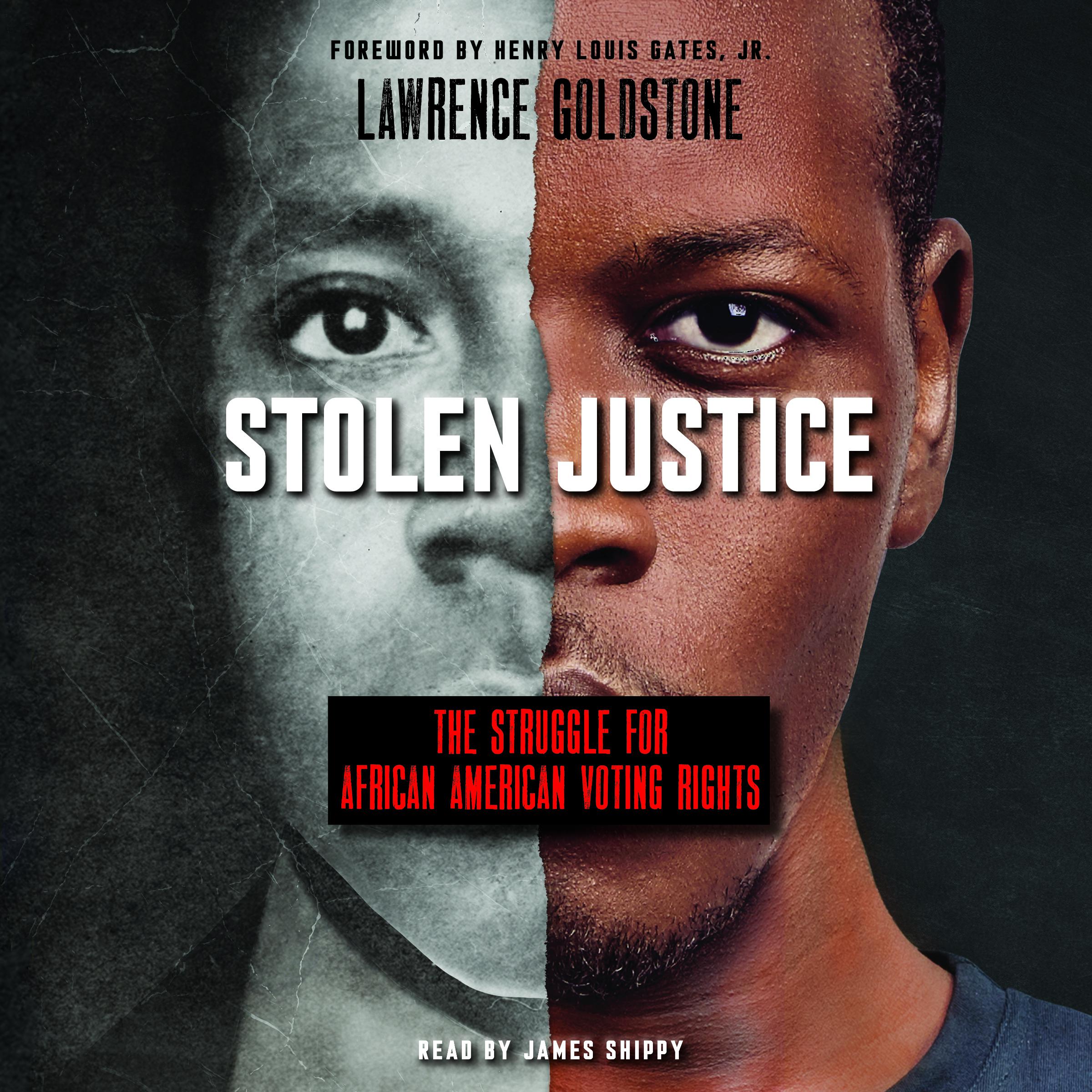Stolen Justice: The Struggle for African American Voting Rights (Scholastic Focus)