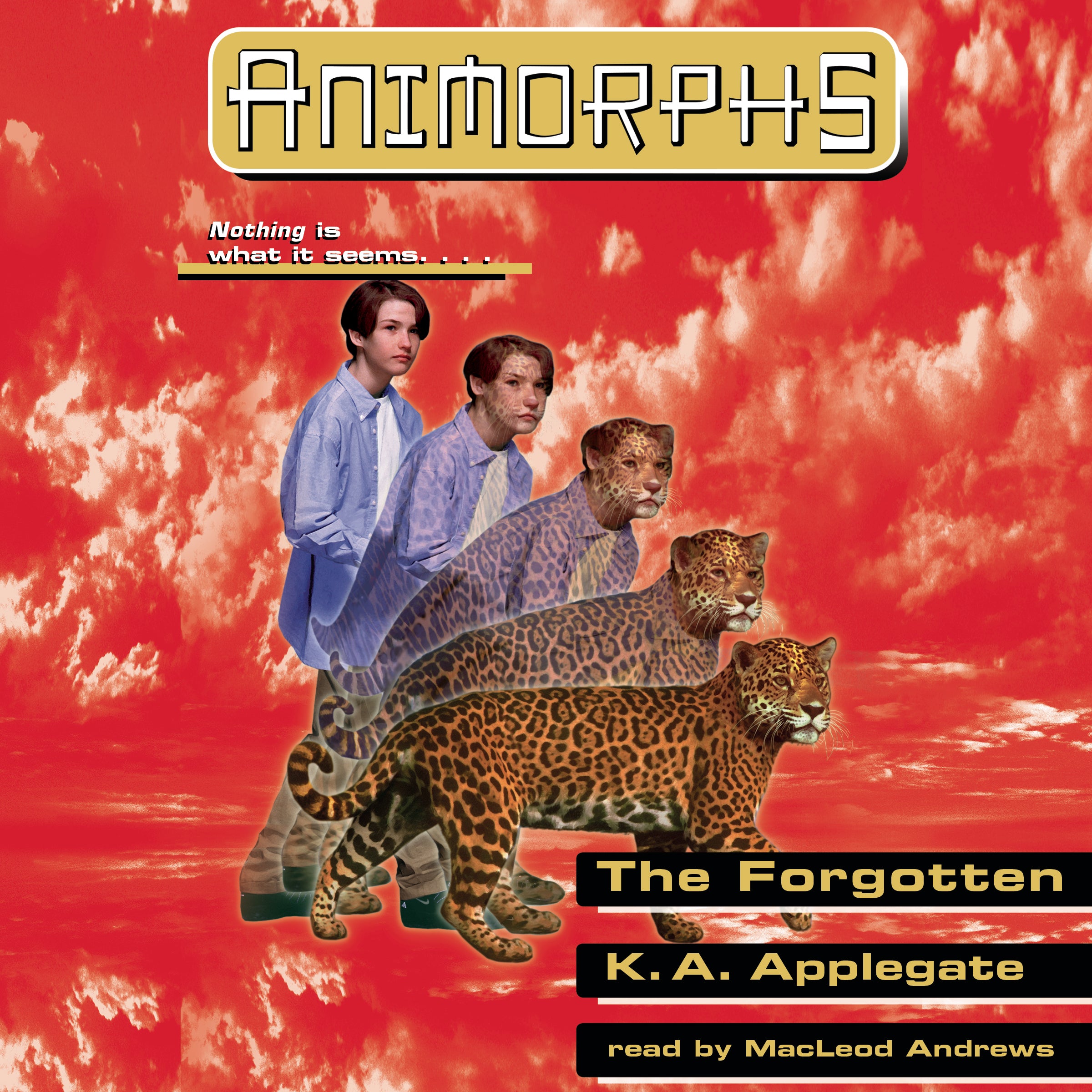 The Forgotten (Animorphs #11)