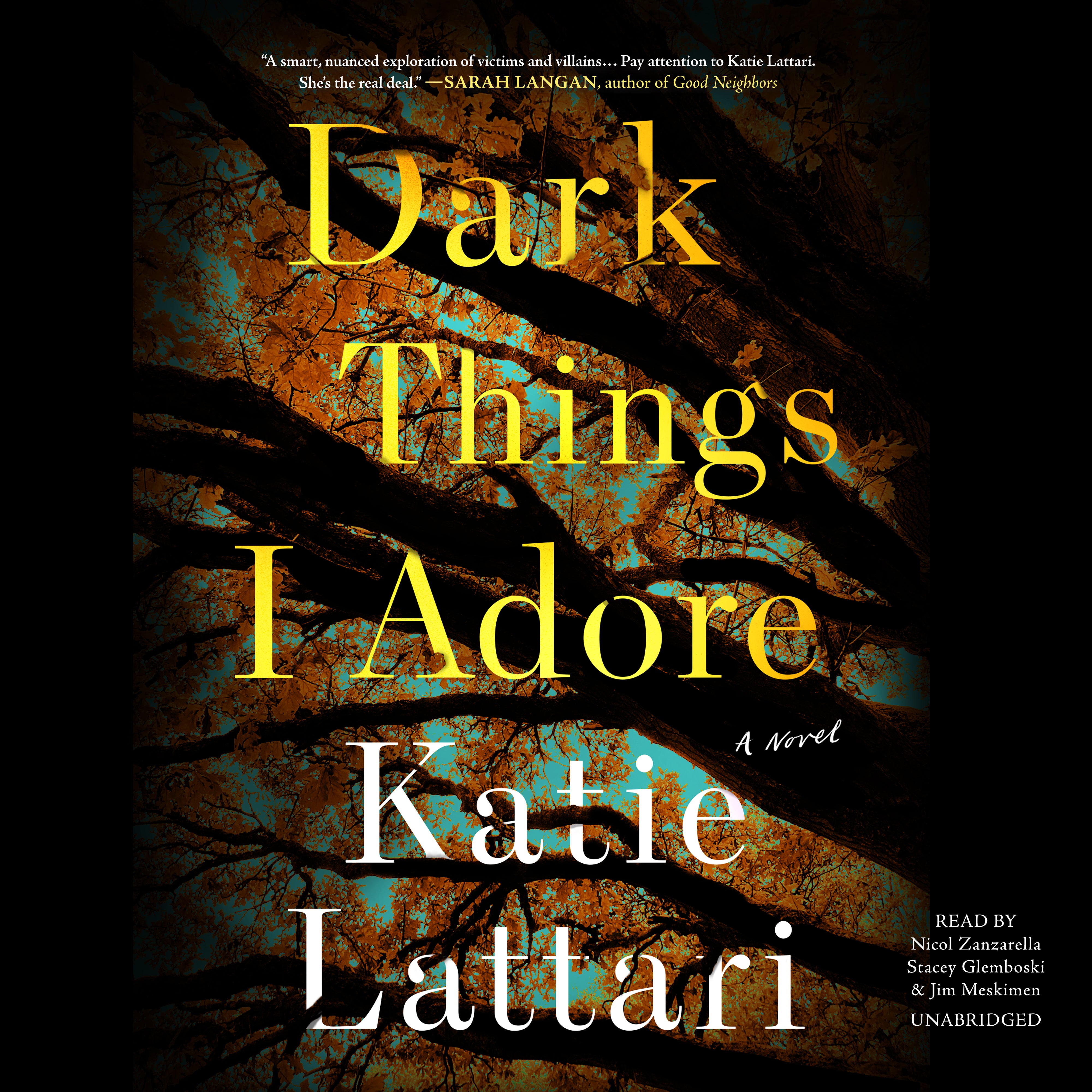Dark Things I Adore