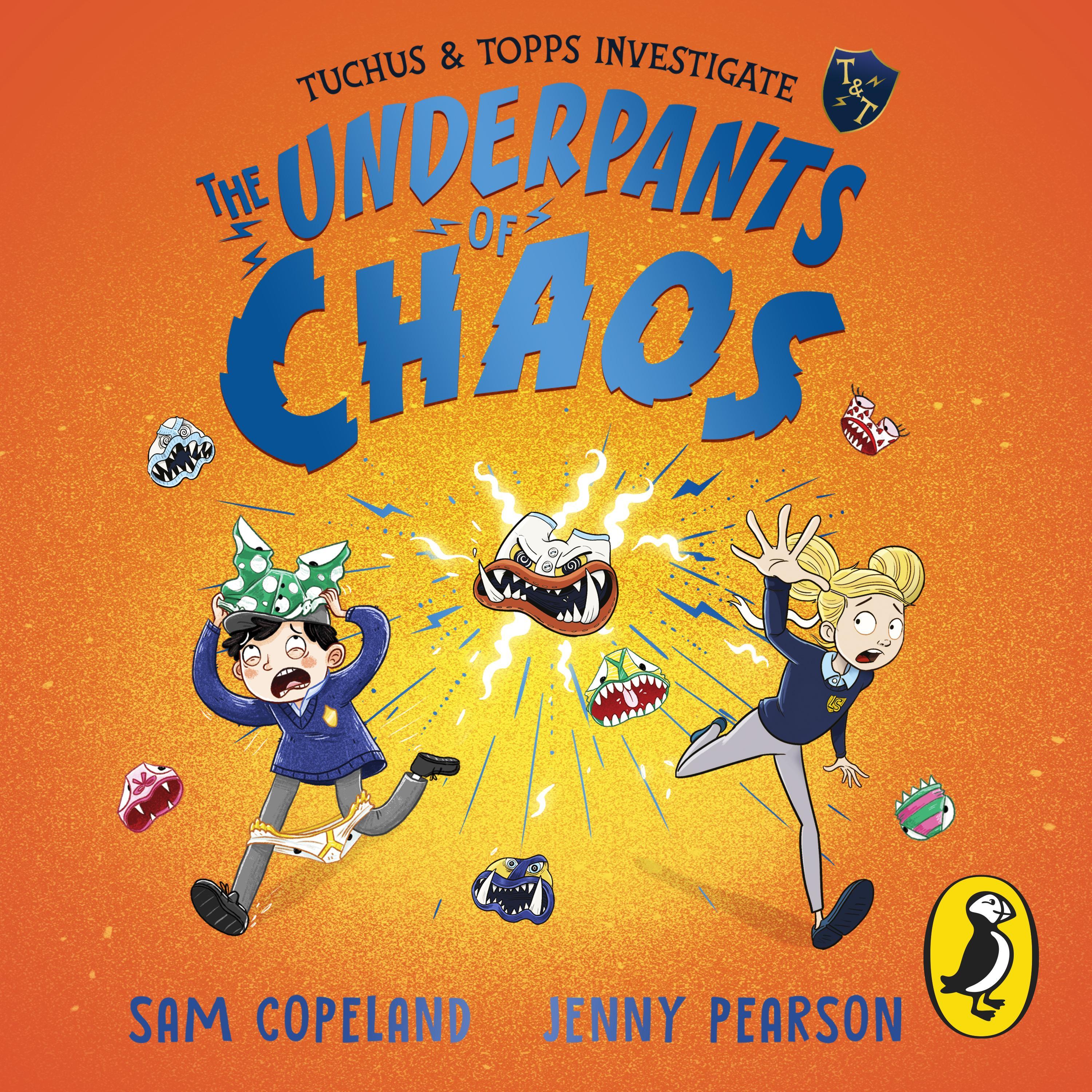 The Underpants of Chaos