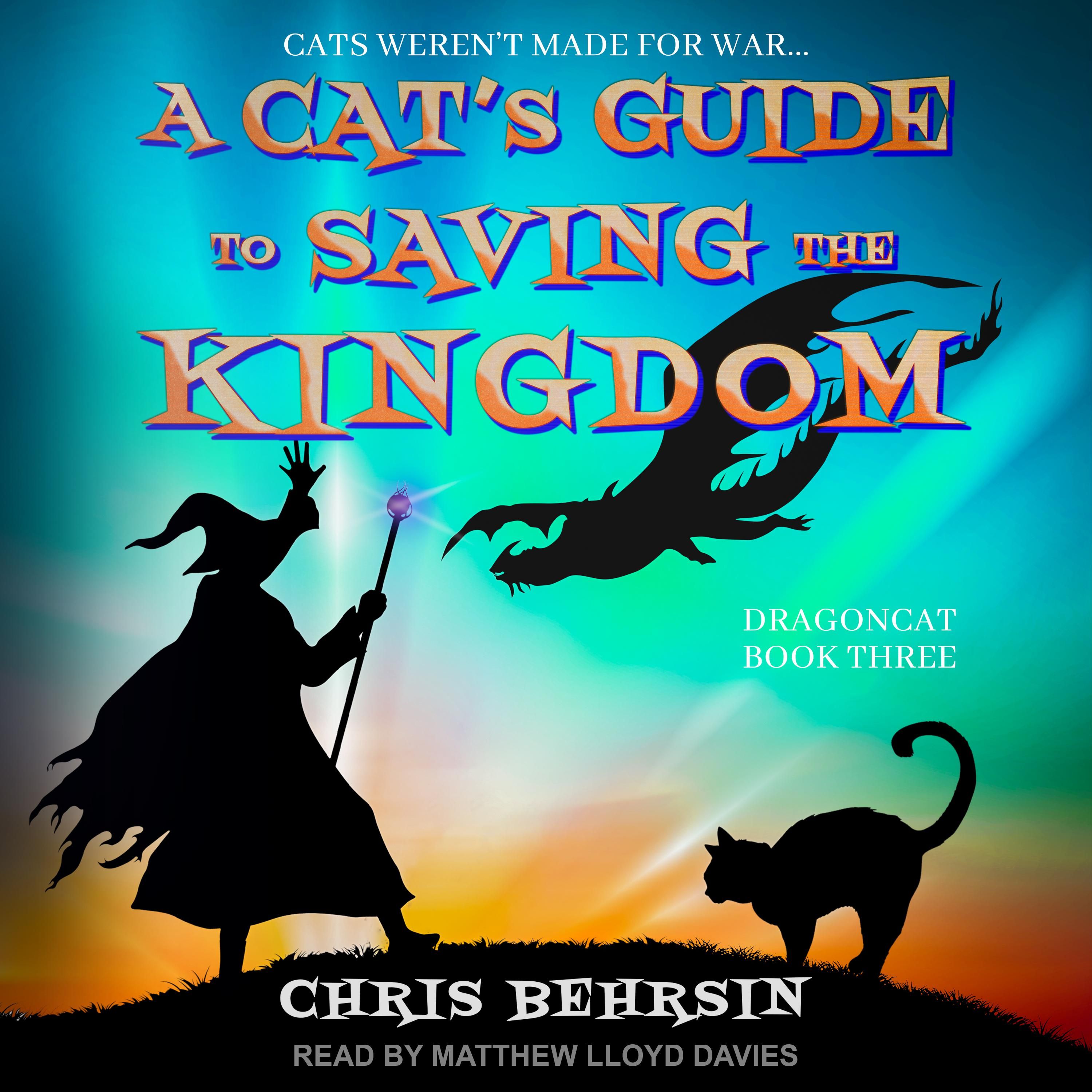 A Cat's Guide to Saving the Kingdom