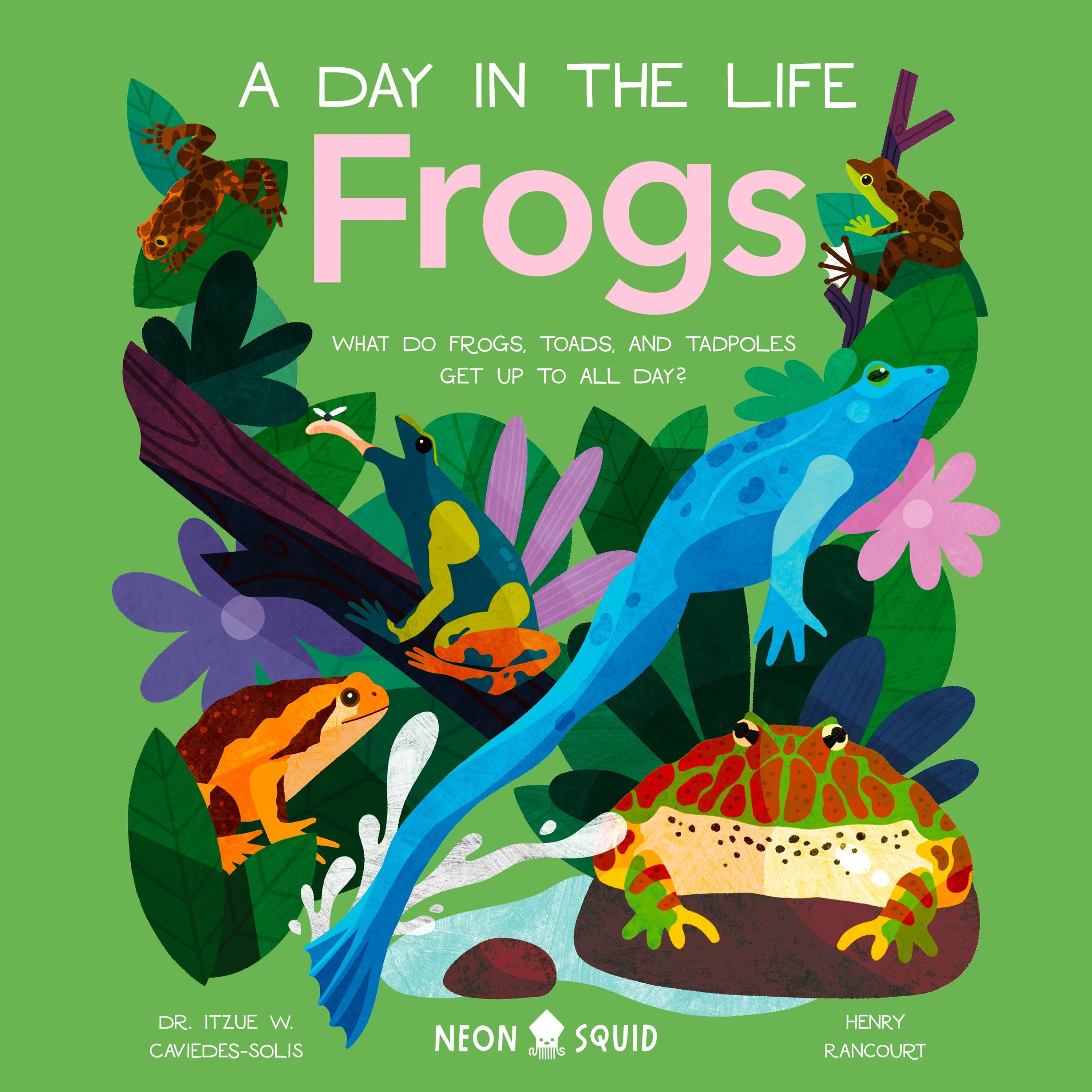 Frogs (A Day in the Life)