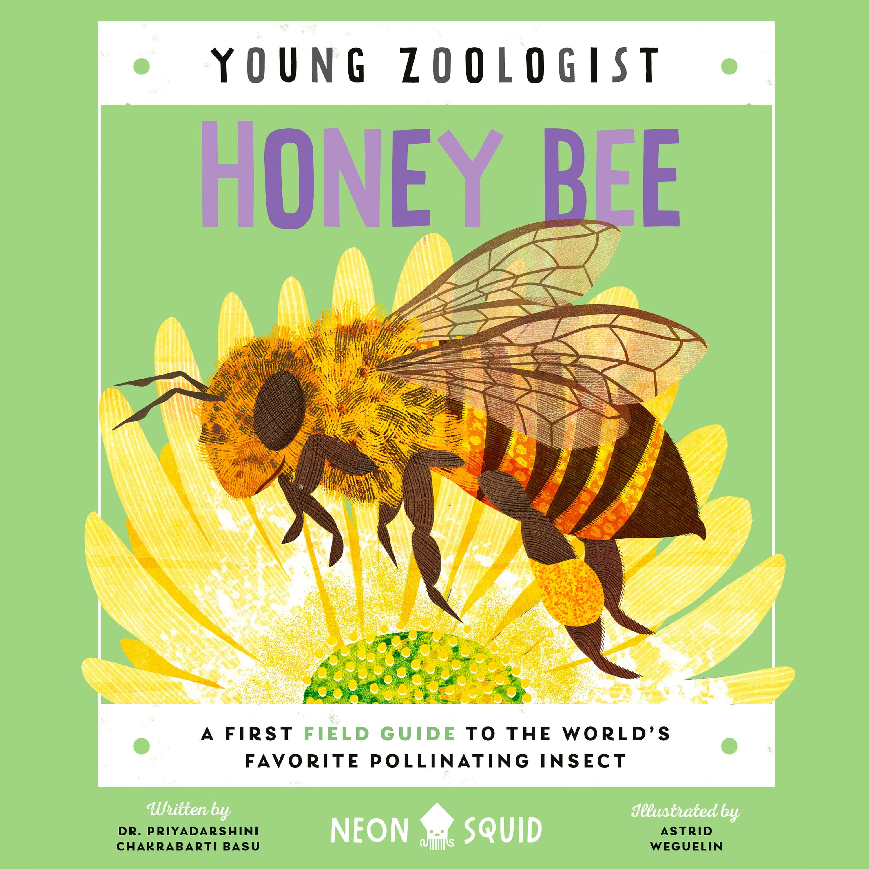 Honey Bee (Young Zoologist)