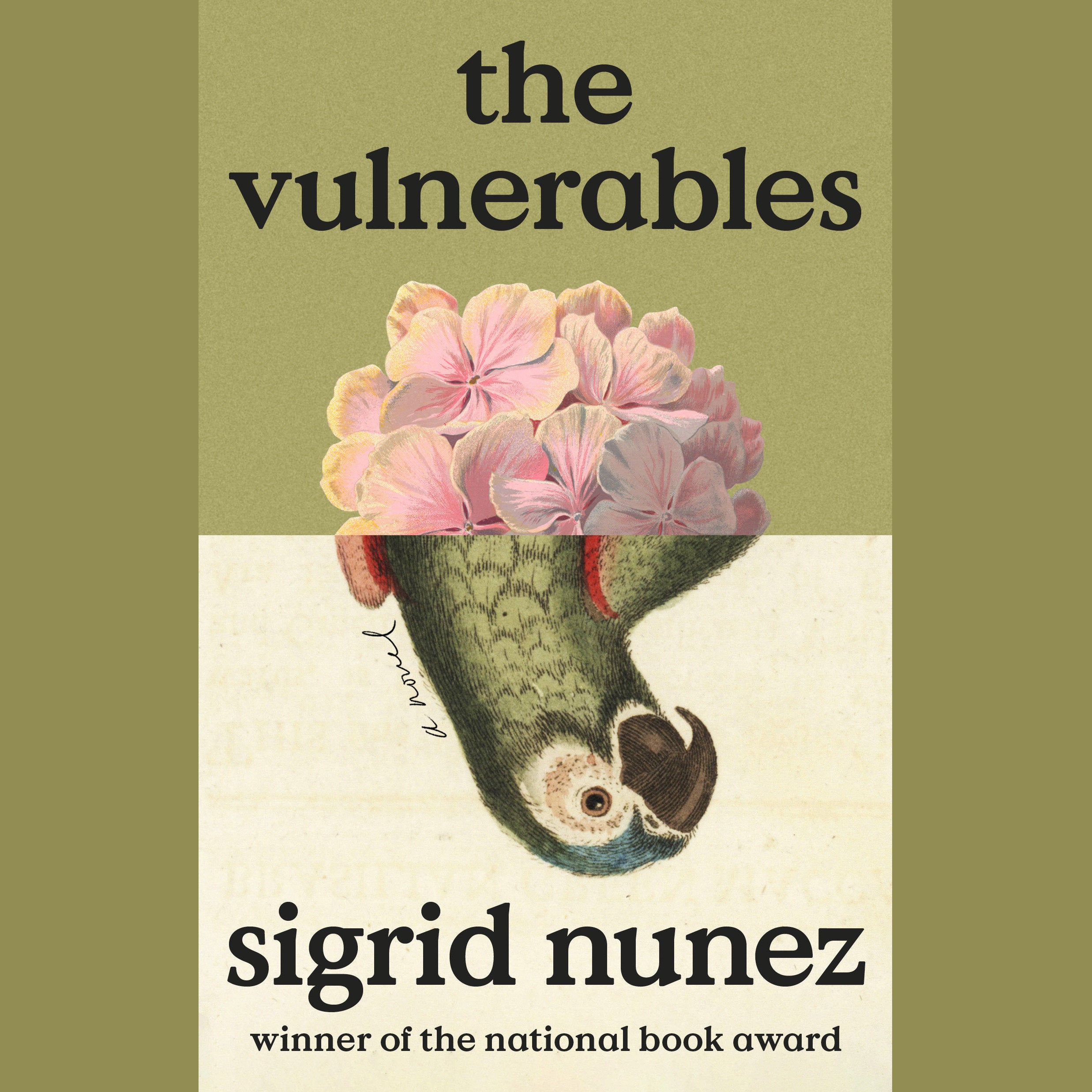 The Vulnerables