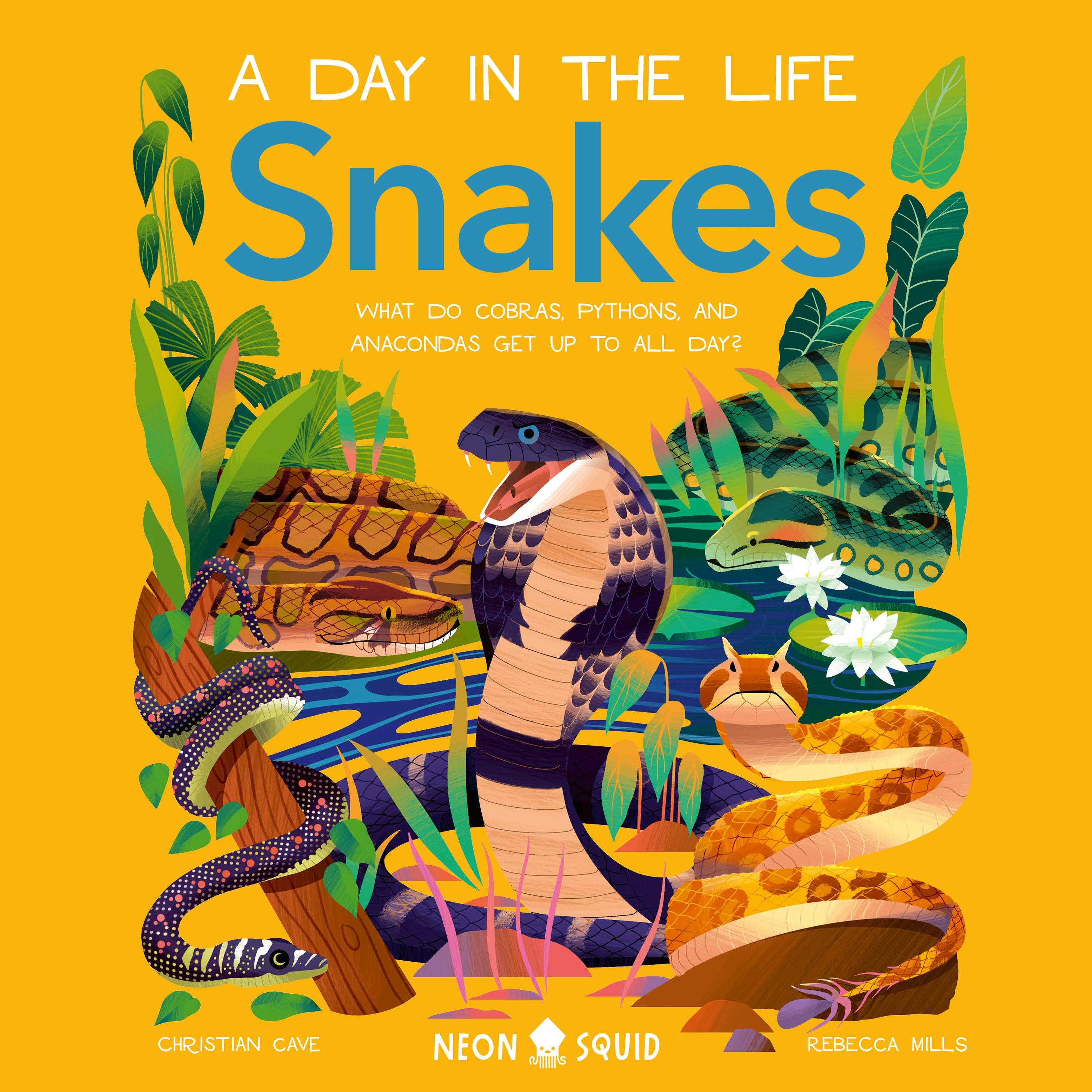 Snakes (A Day in the Life)