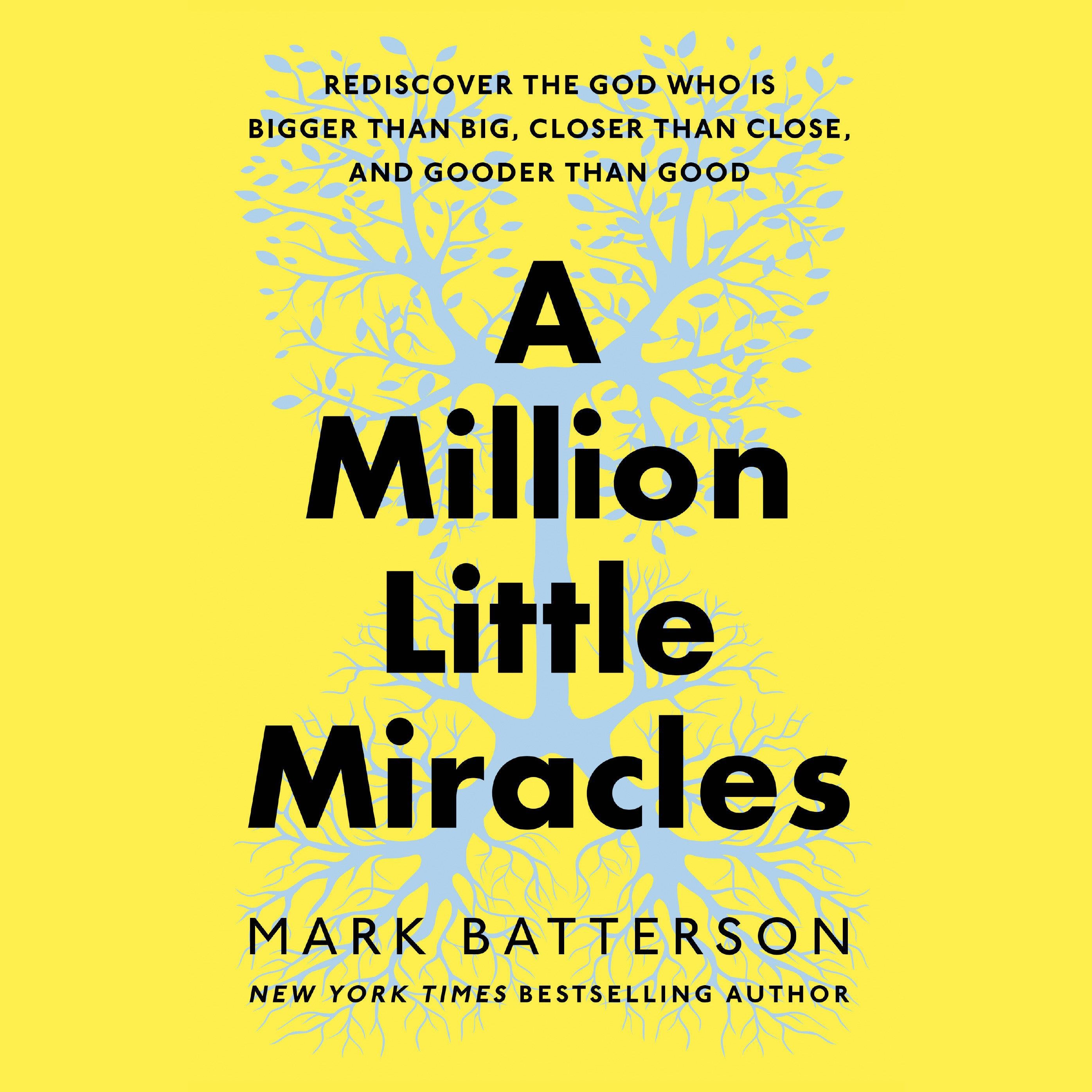 A Million Little Miracles