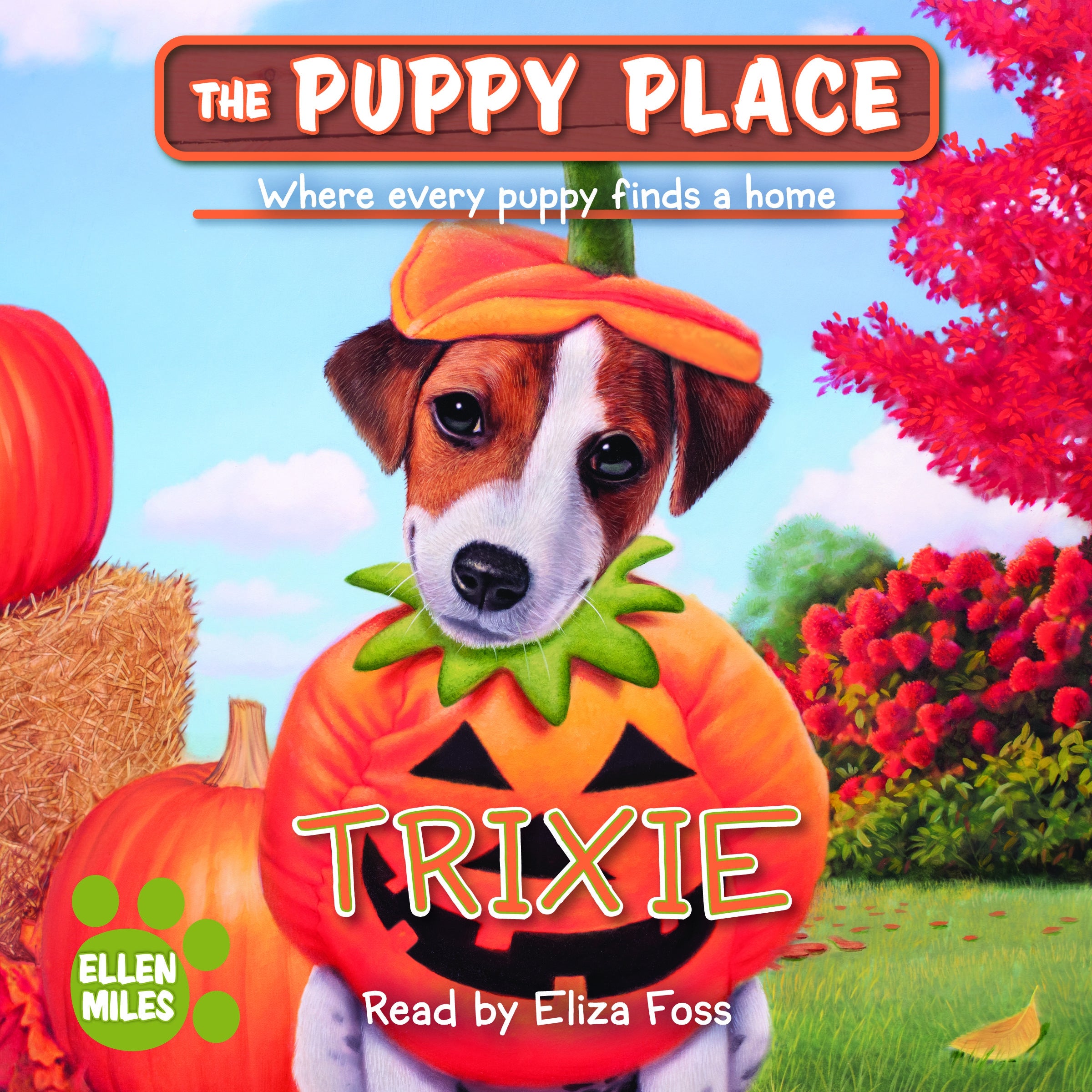 Trixie (The Puppy Place #69)