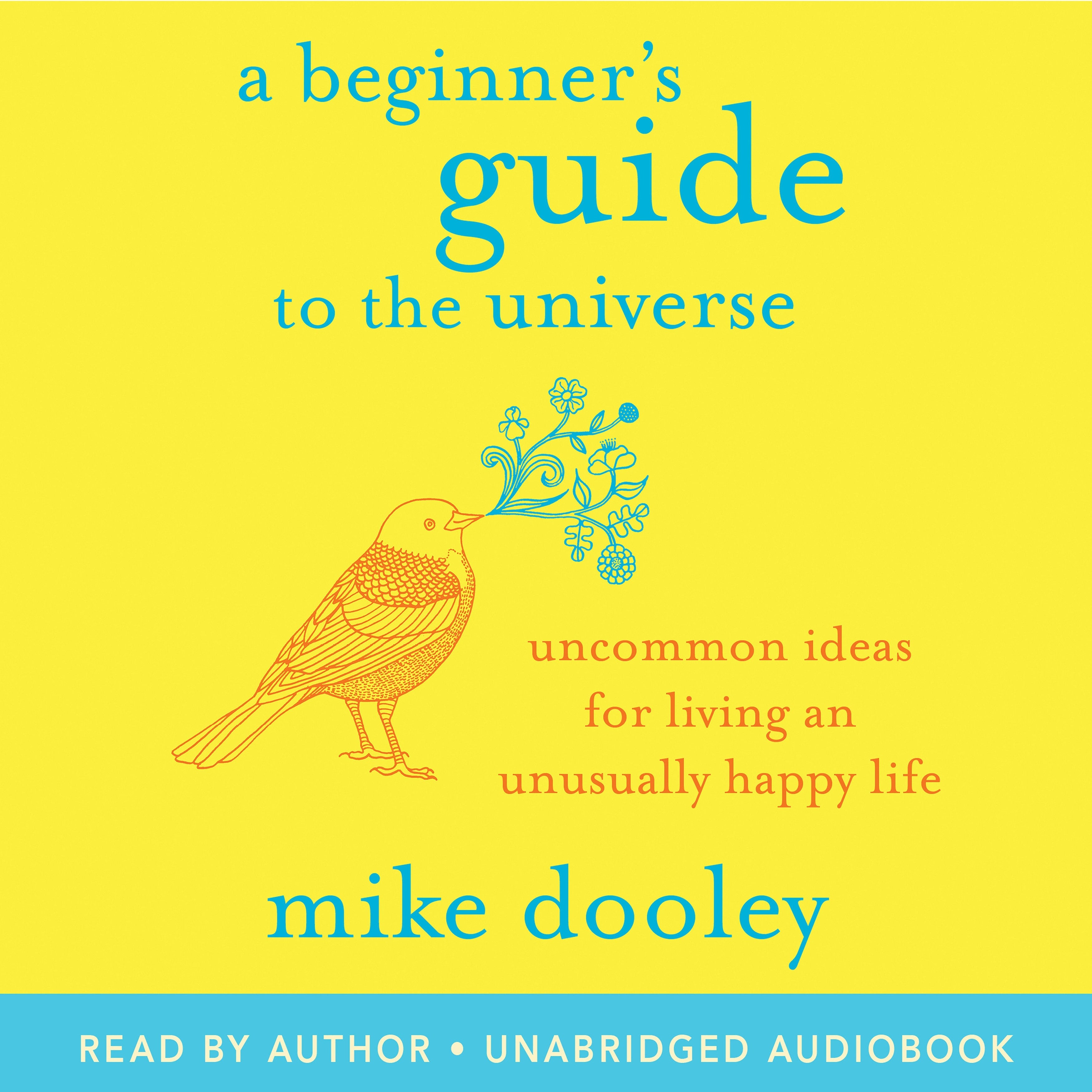 A Beginner's Guide to the Universe