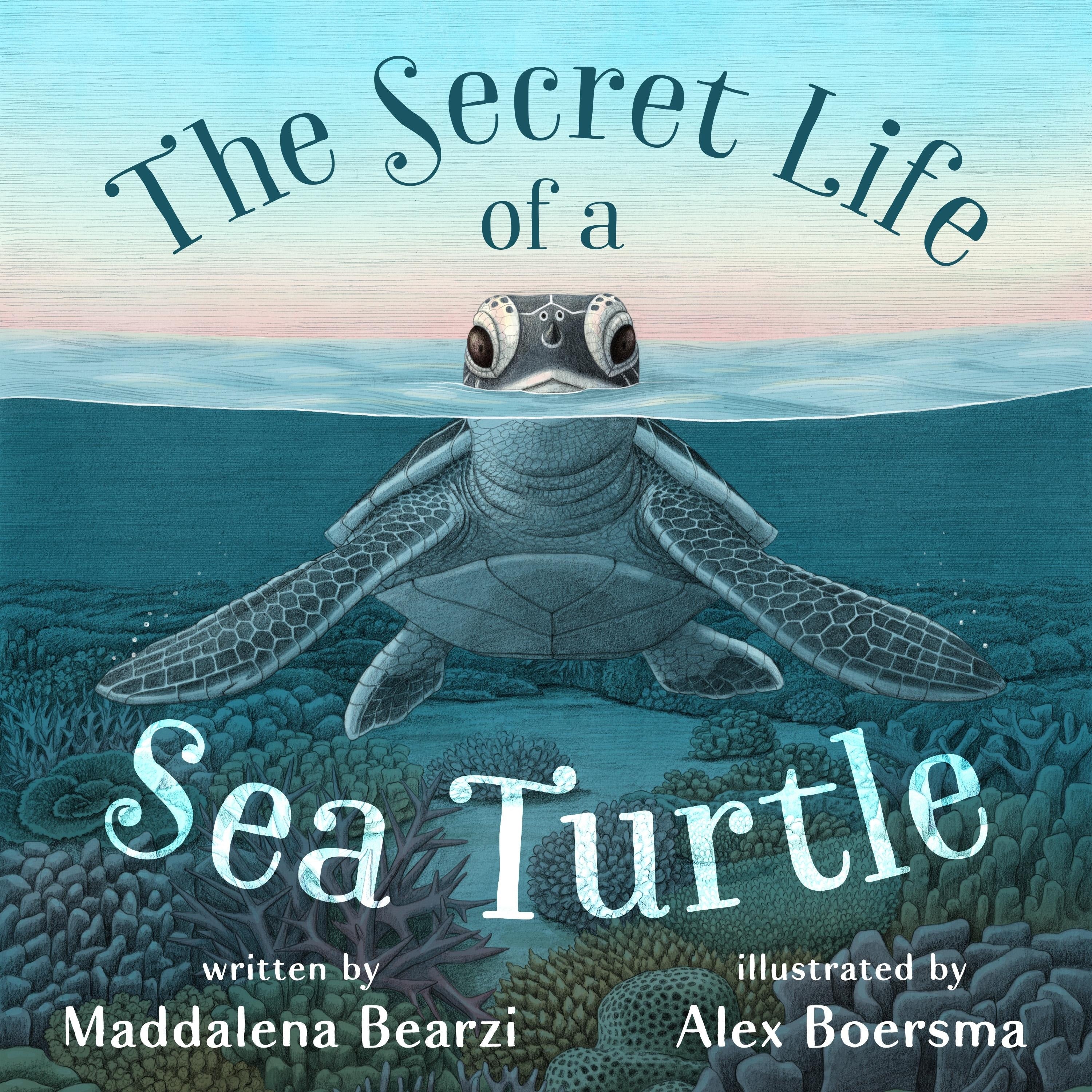 The Secret Life of a Sea Turtle