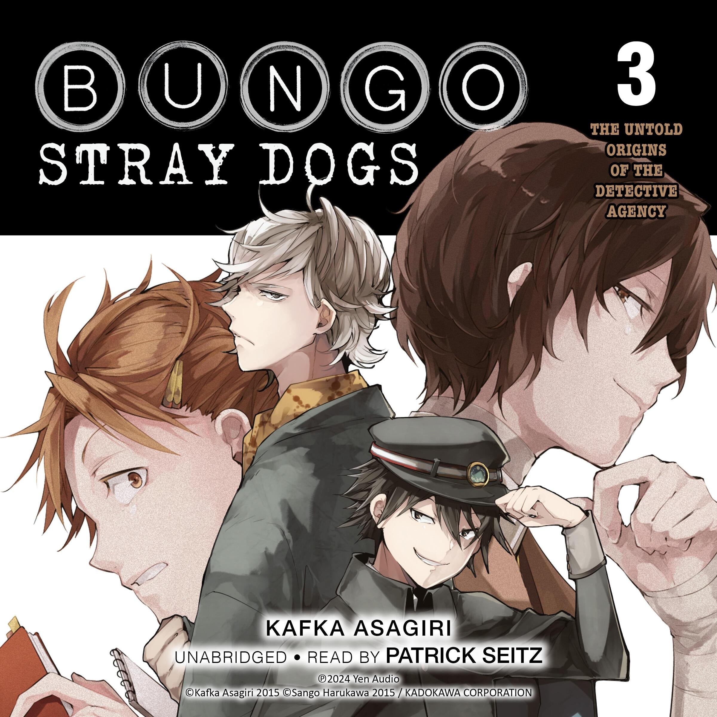 Bungo Stray Dogs, Vol. 3