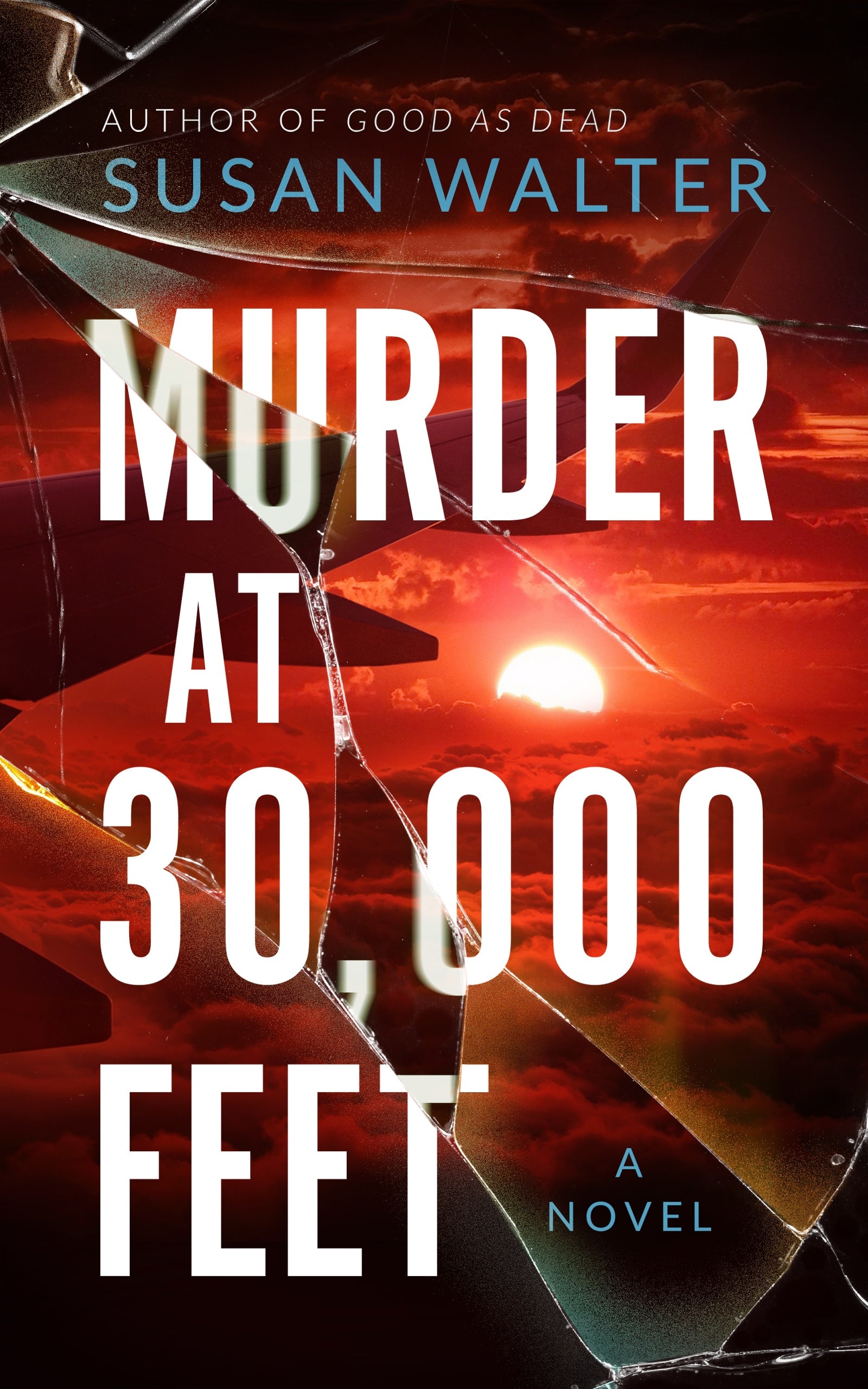 Murder at 30,000 Feet