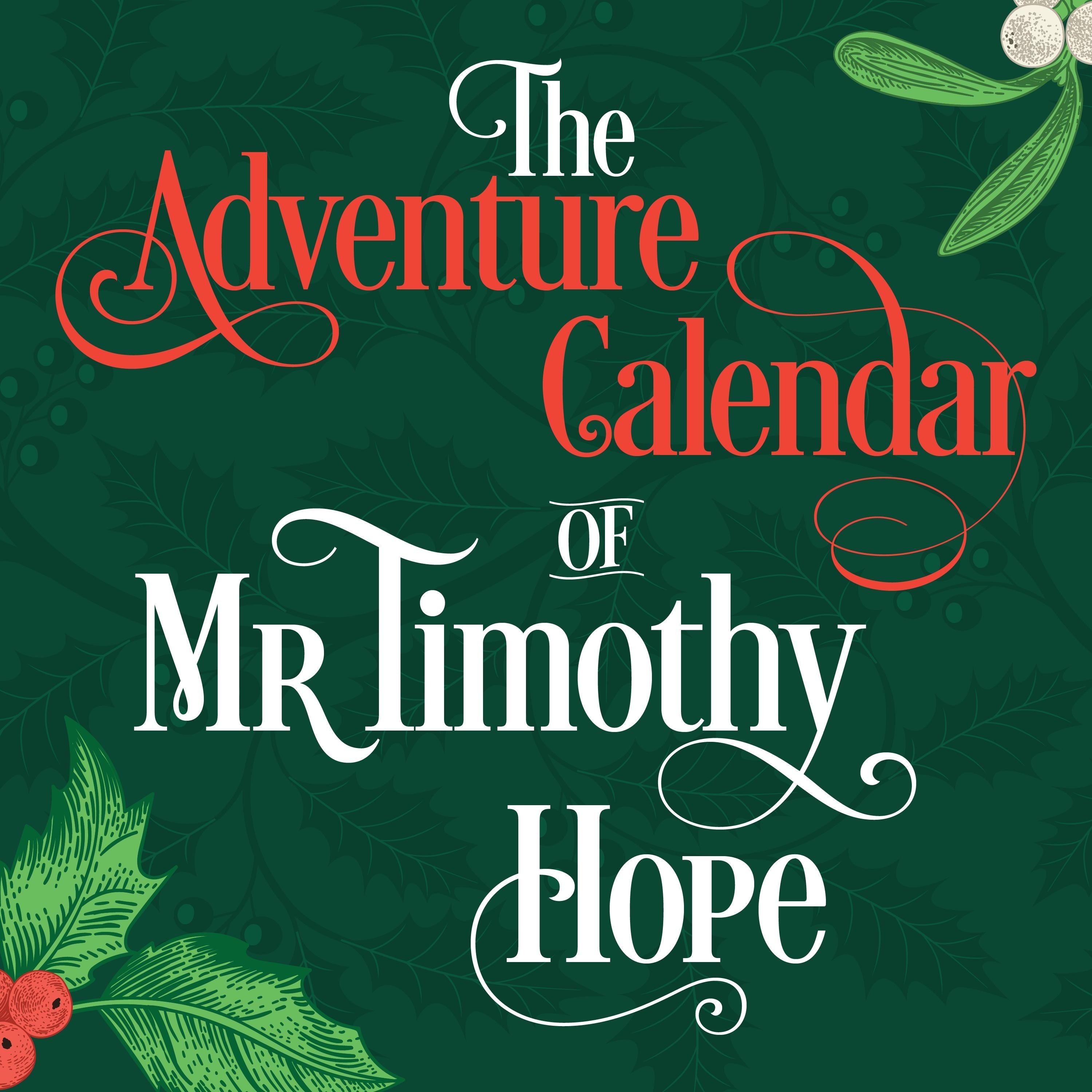 The Adventure Calendar of Mr Timothy Hope