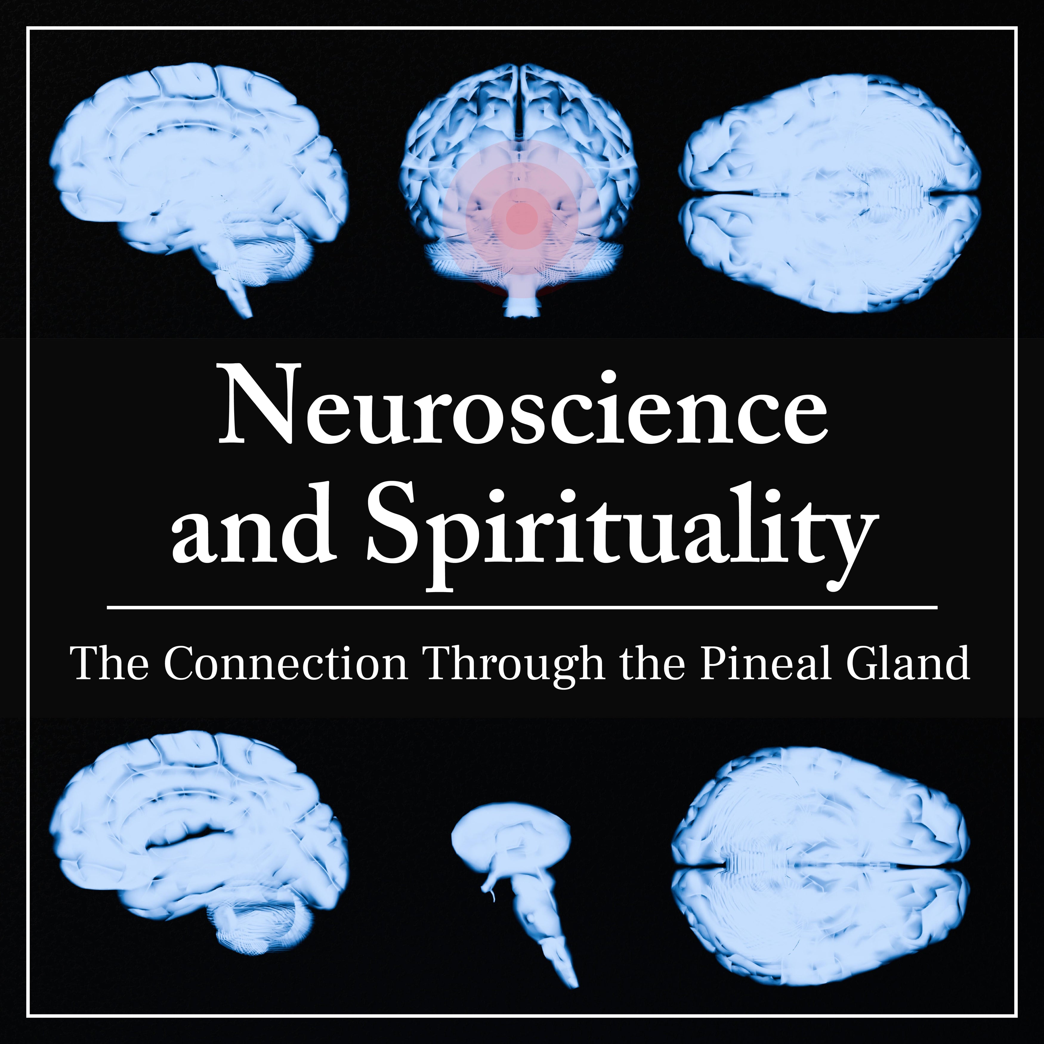 Neuroscience and Spirituality
