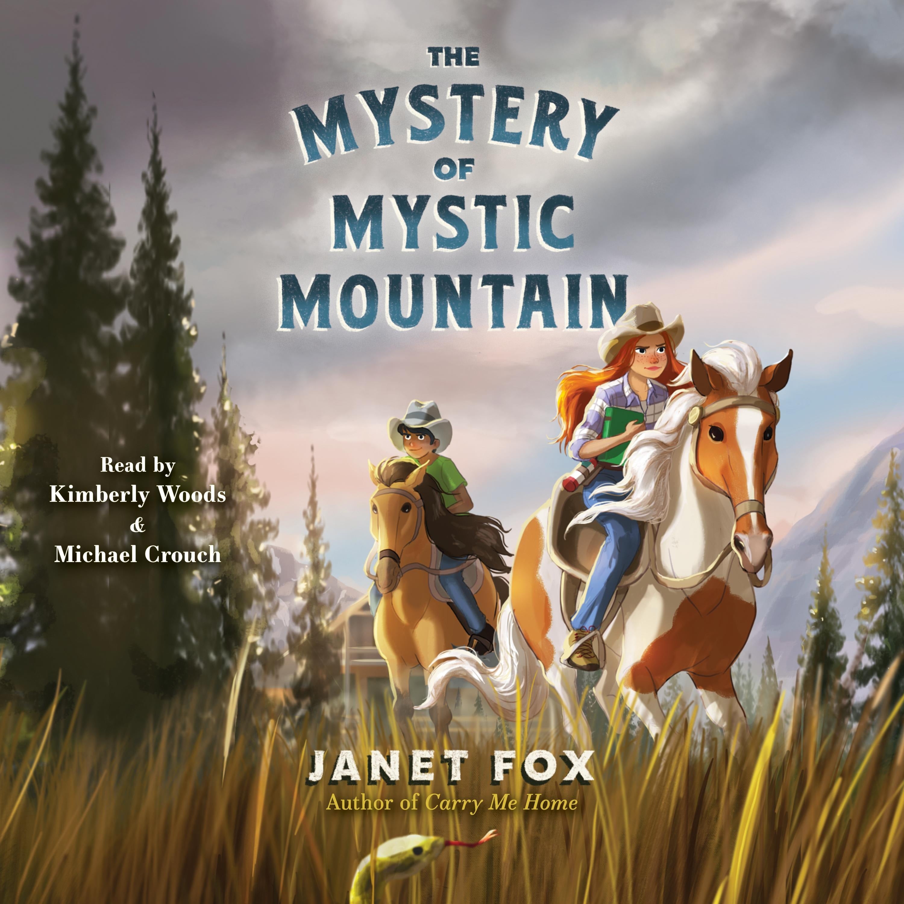 The Mystery of Mystic Mountain