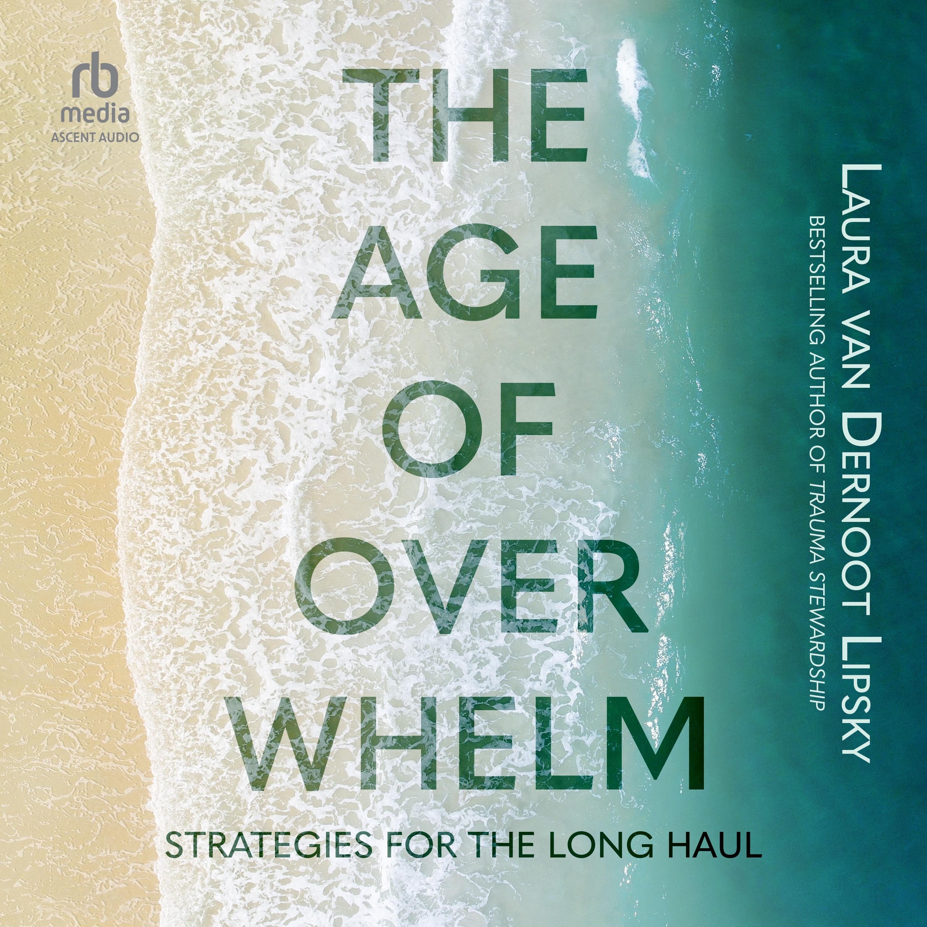 The Age of Overwhelm