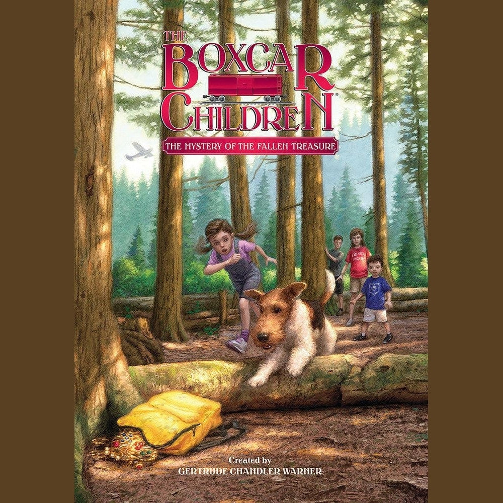 重生六零:带个空间去发财