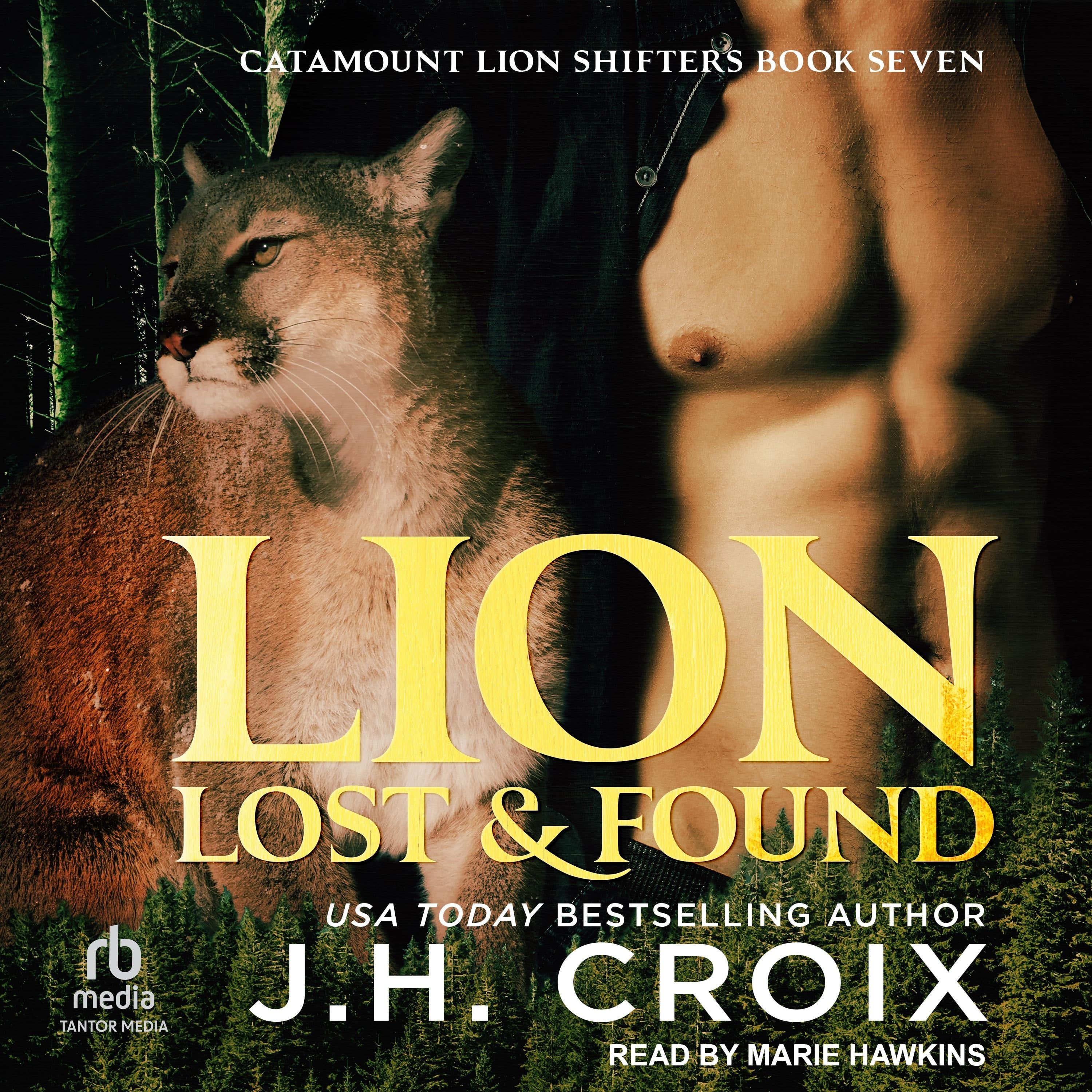 Lion Lost & Found