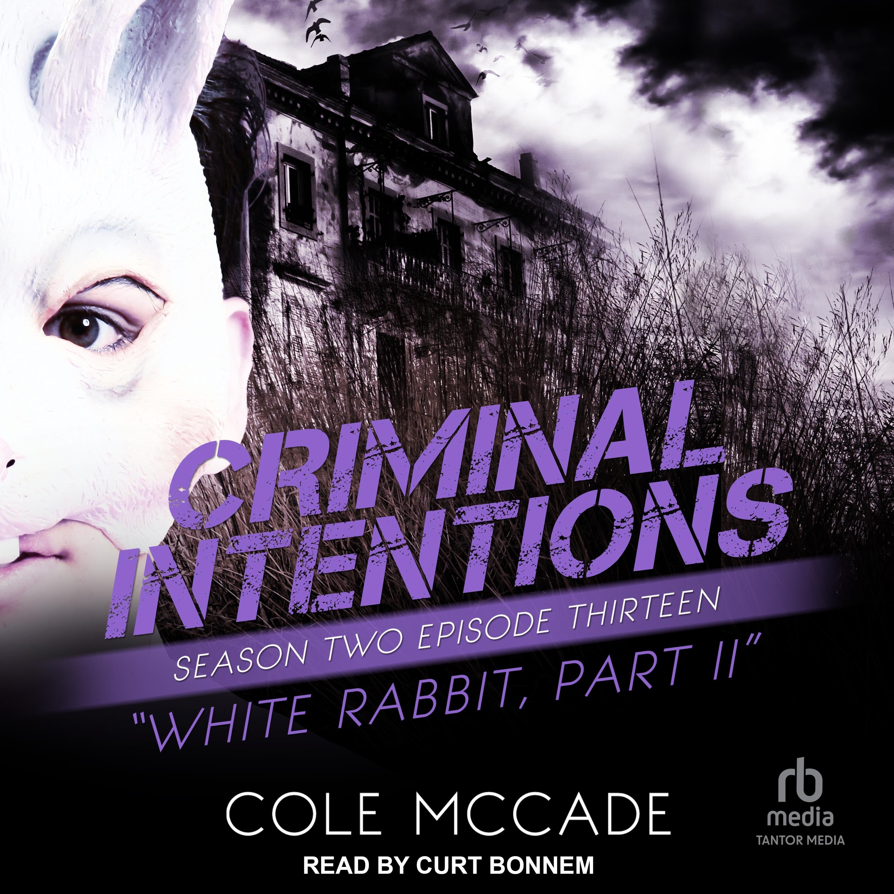 Criminal Intentions: Season Two, Episode Thirteen
