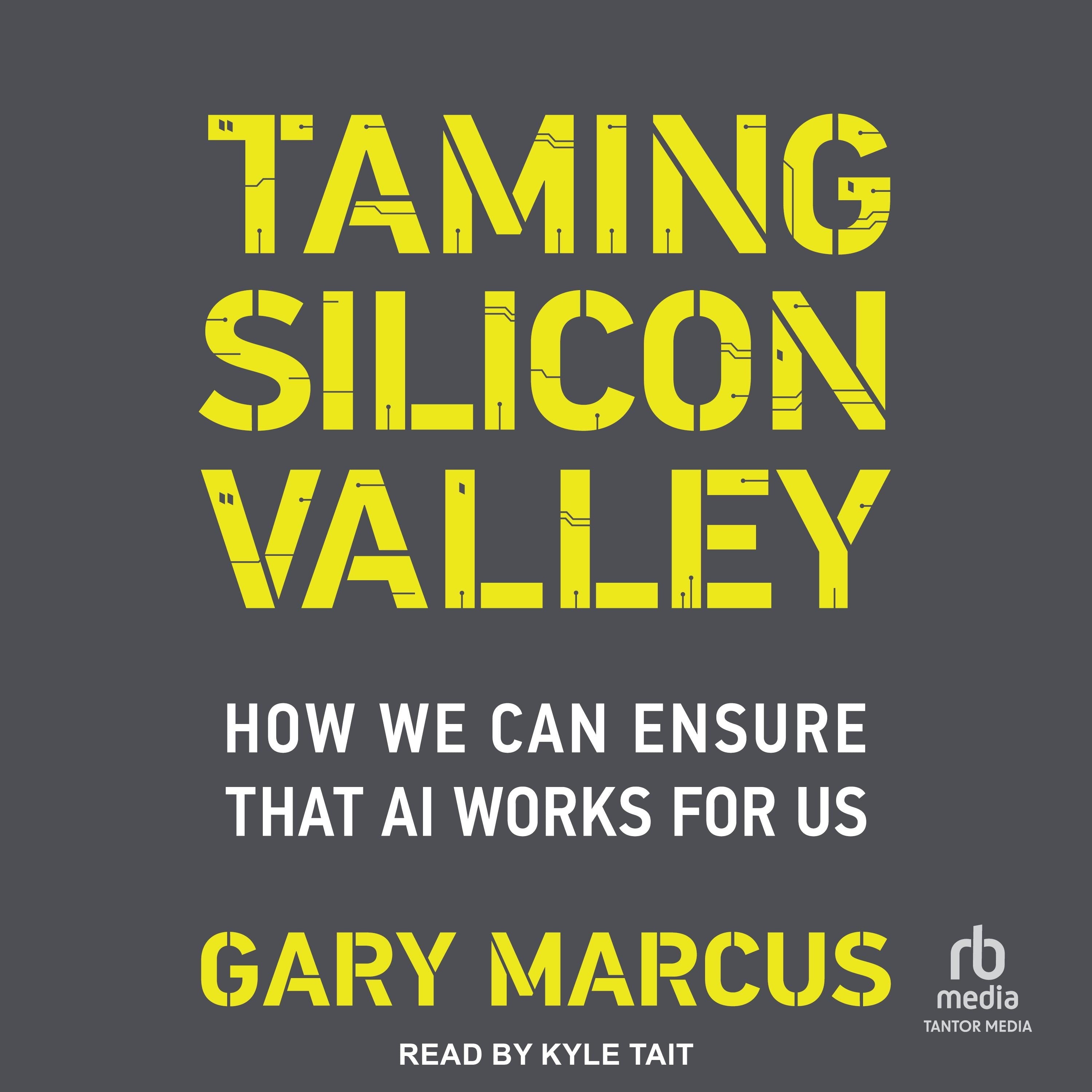 Taming Silicon Valley