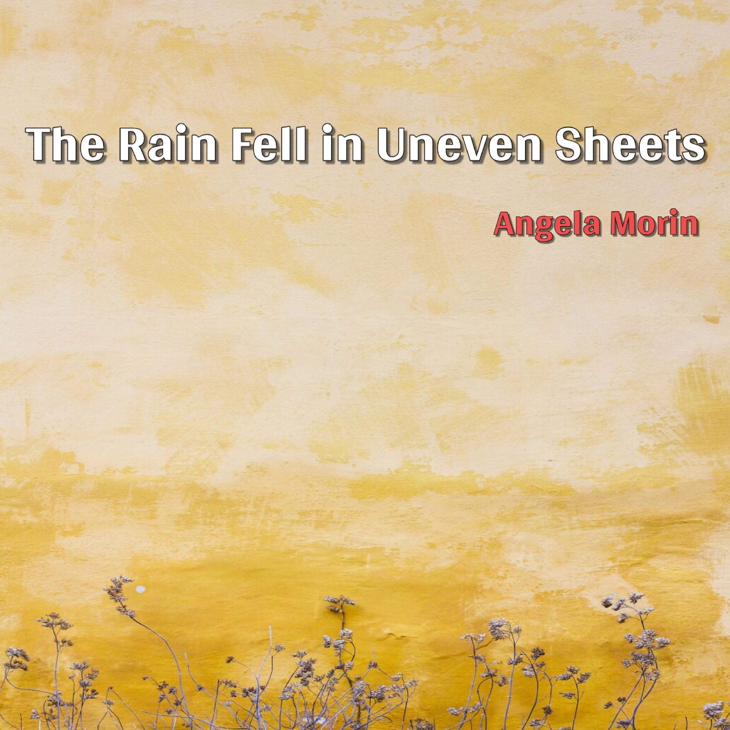 The Rain Fell in Uneven Sheets