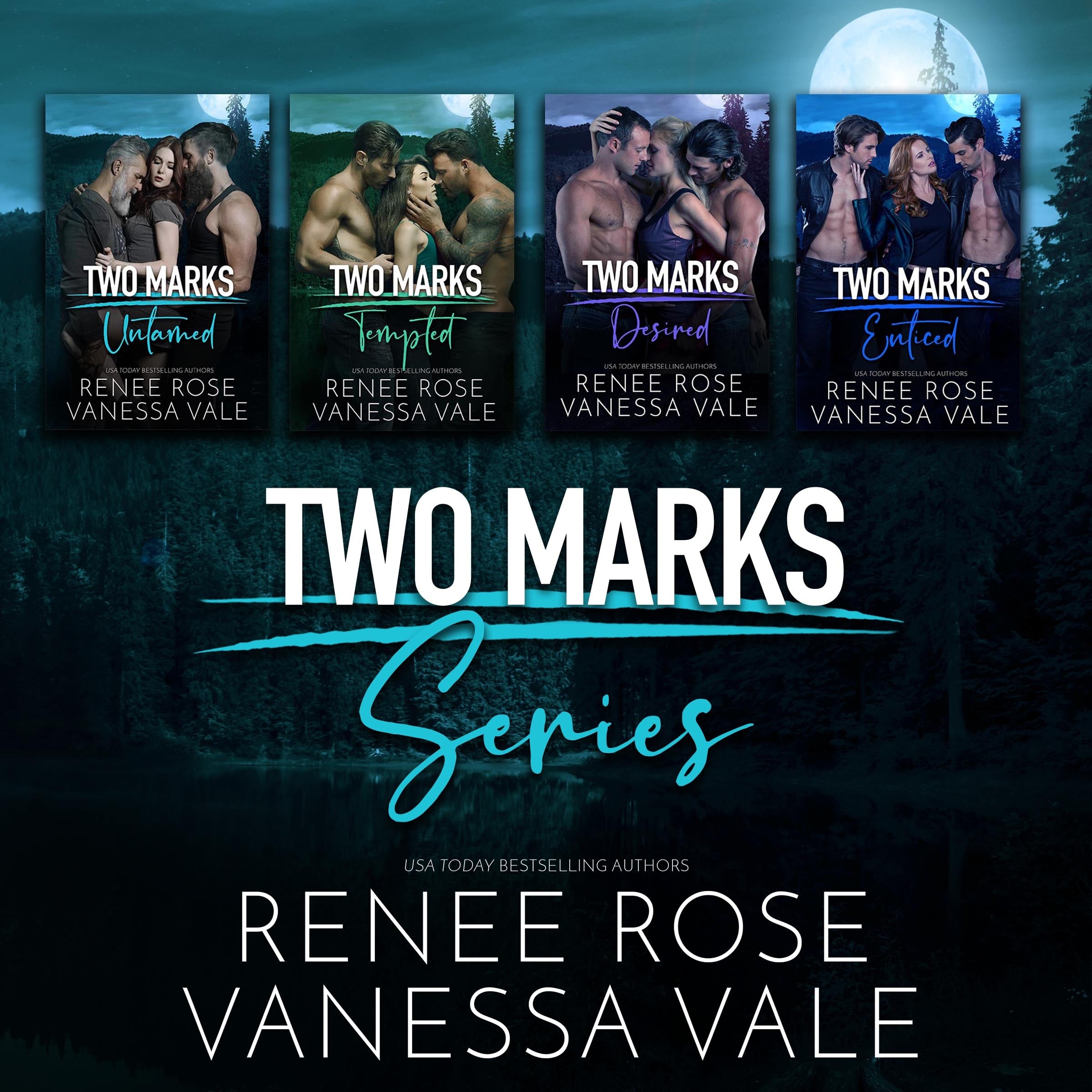 Two Marks Series Boxed Set, Books 1-4