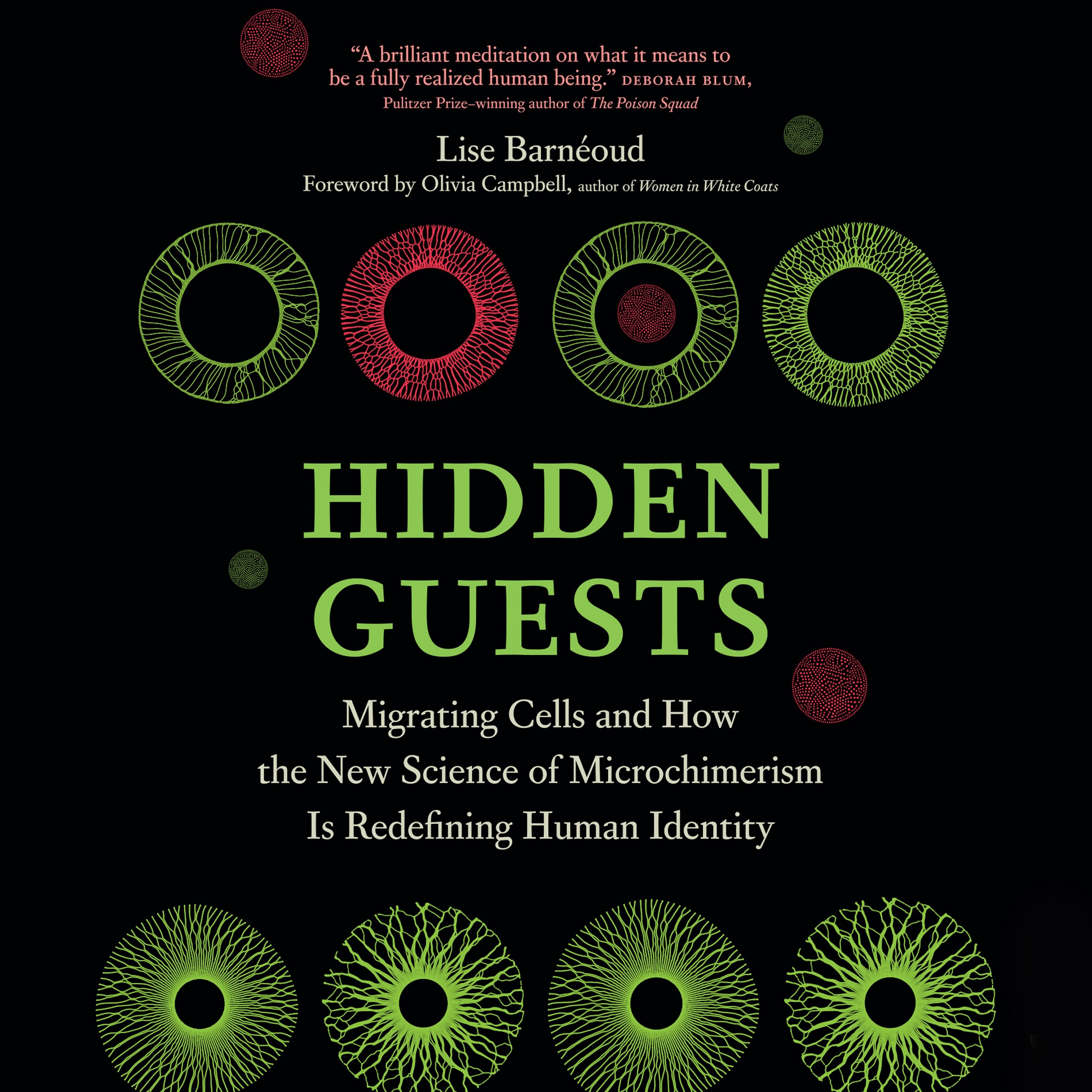 Hidden Guests