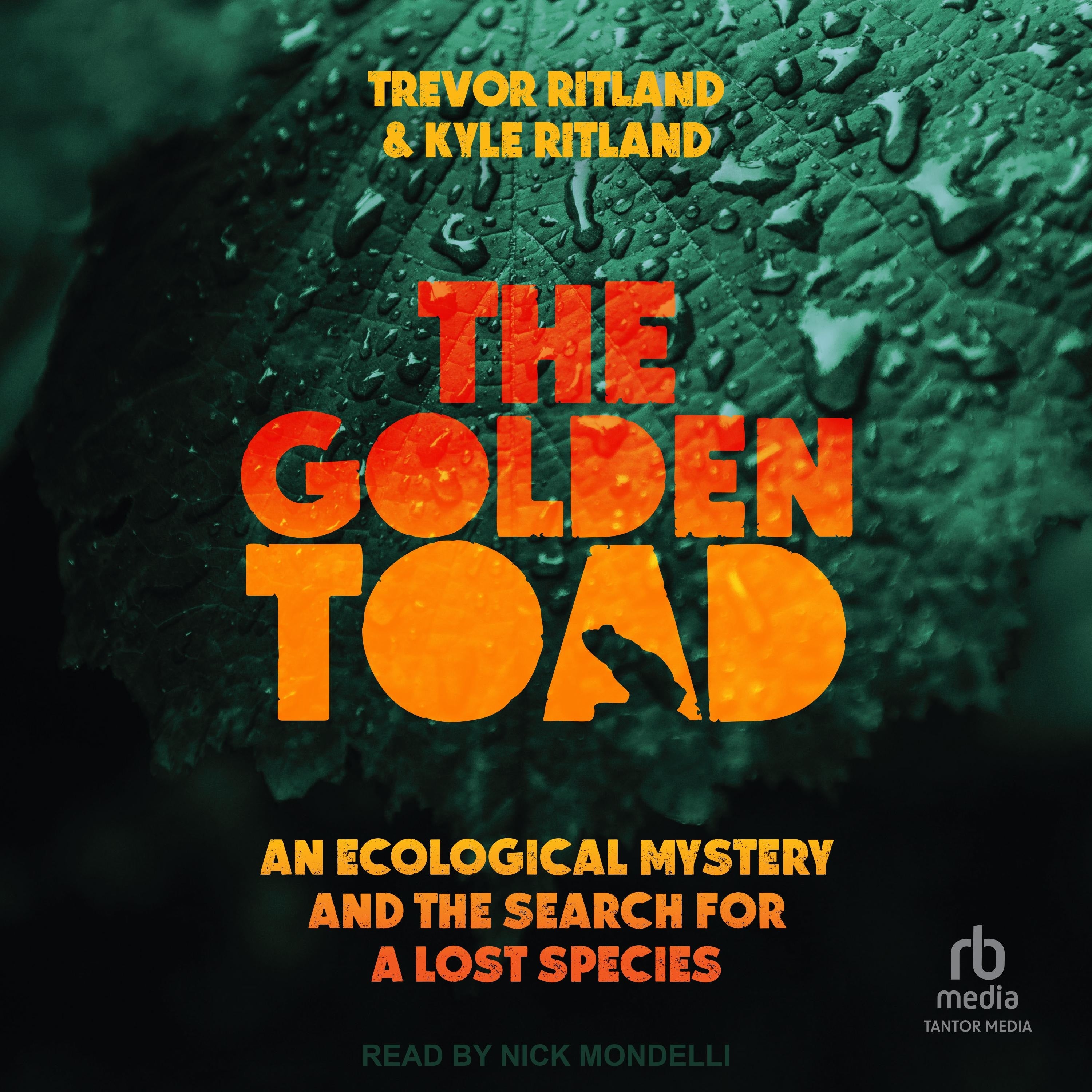 The Golden Toad