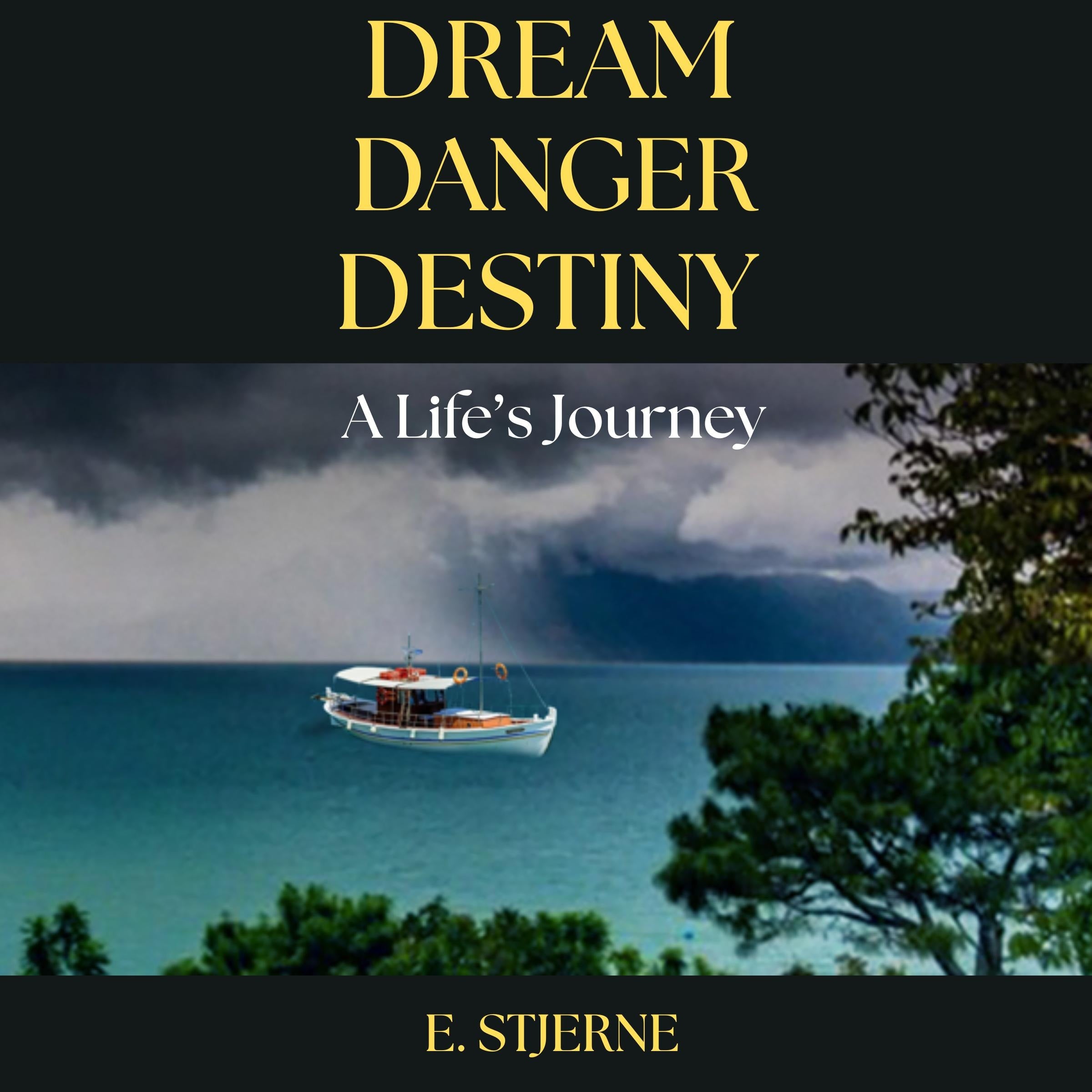 Dream Danger Destiny - A Life's Journey
