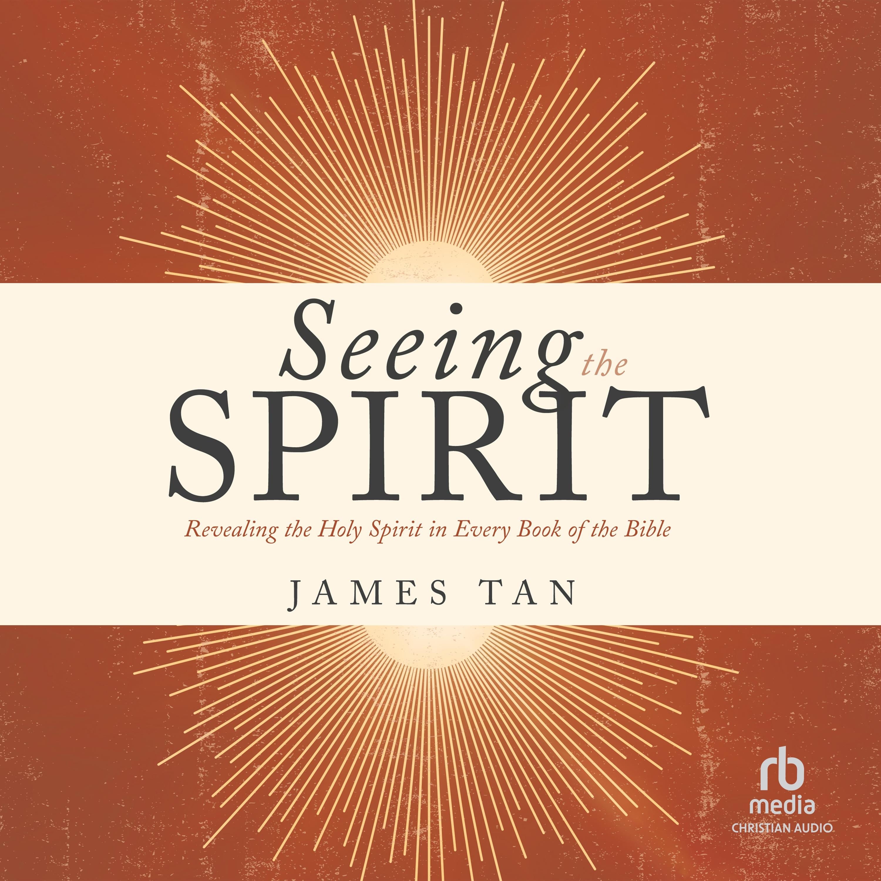 Seeing the Spirit