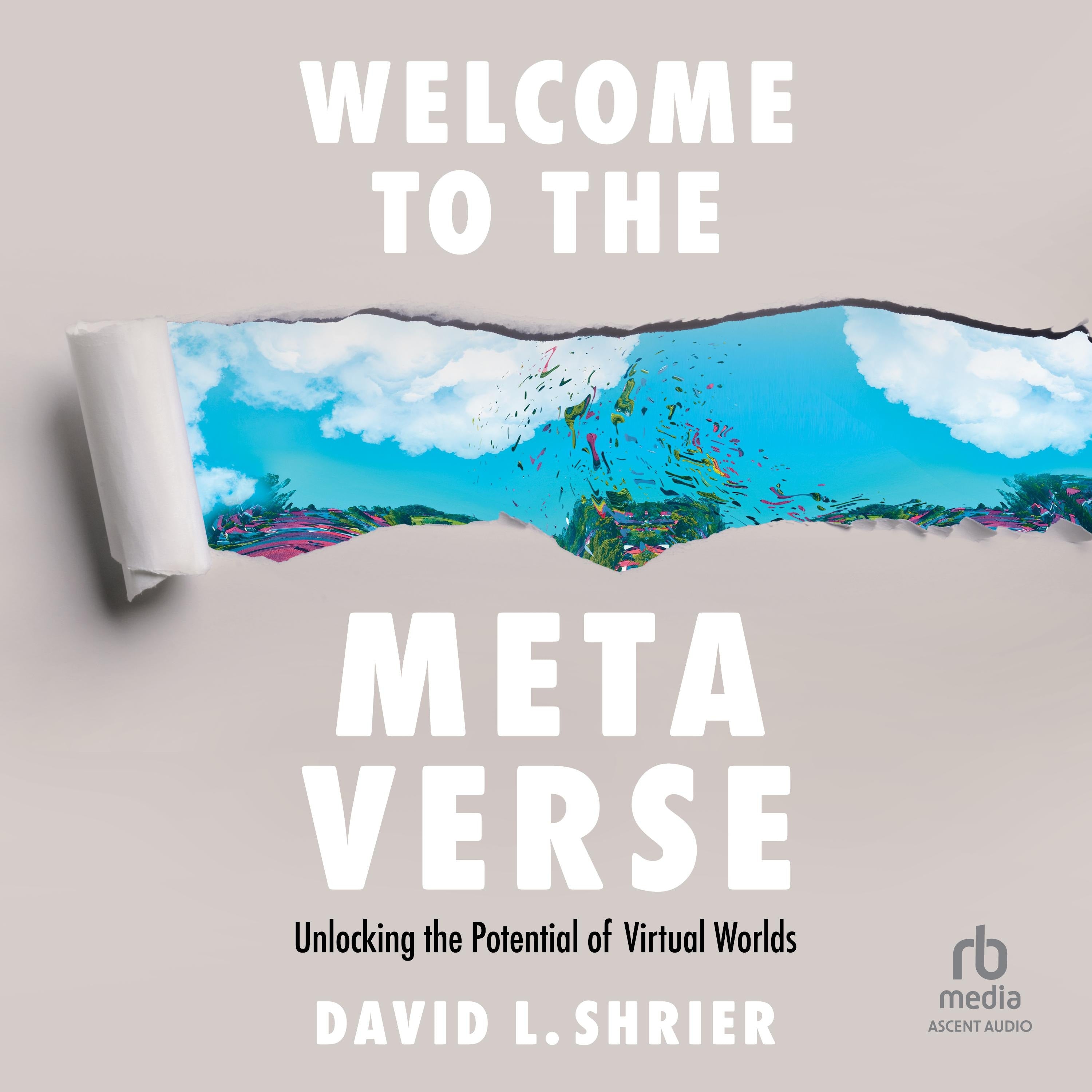 Welcome to the Metaverse