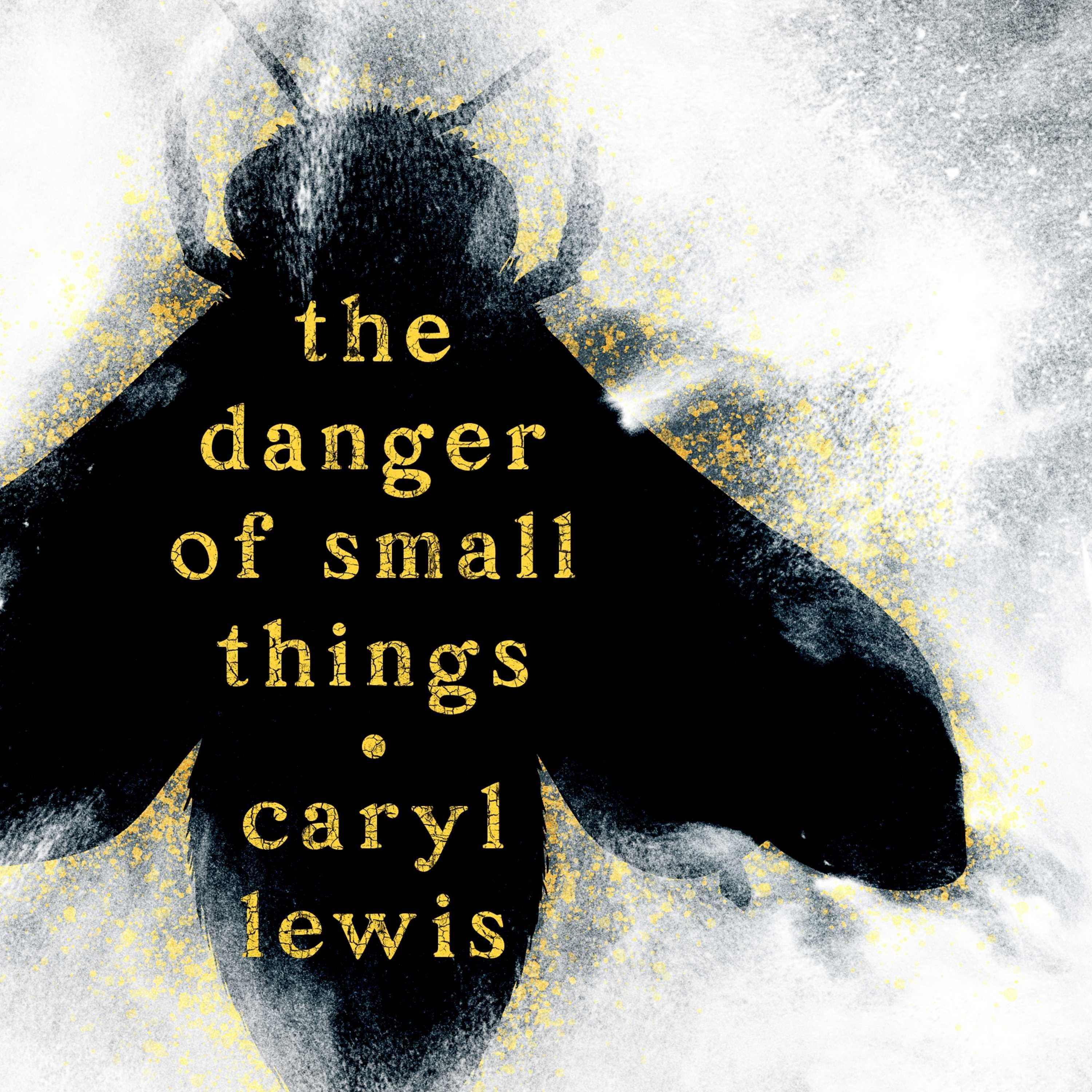 The Danger of Small Things
