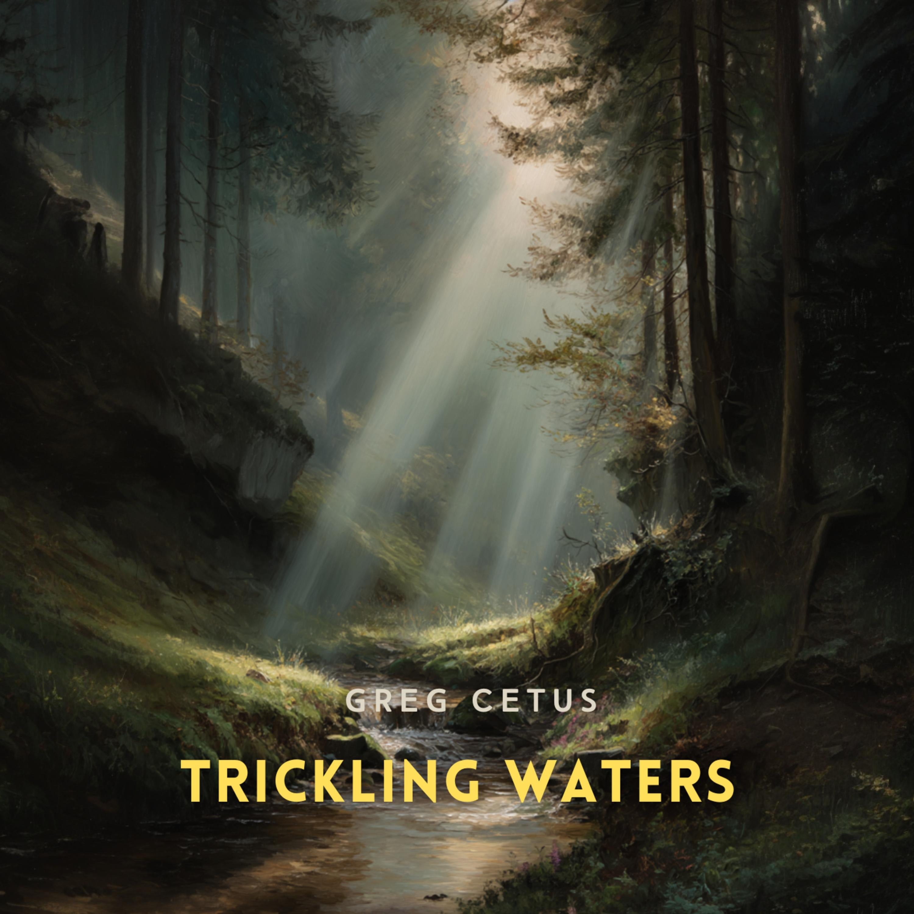 Trickling Waters: Gentle Stream Sounds in a Quiet Conifer Forest